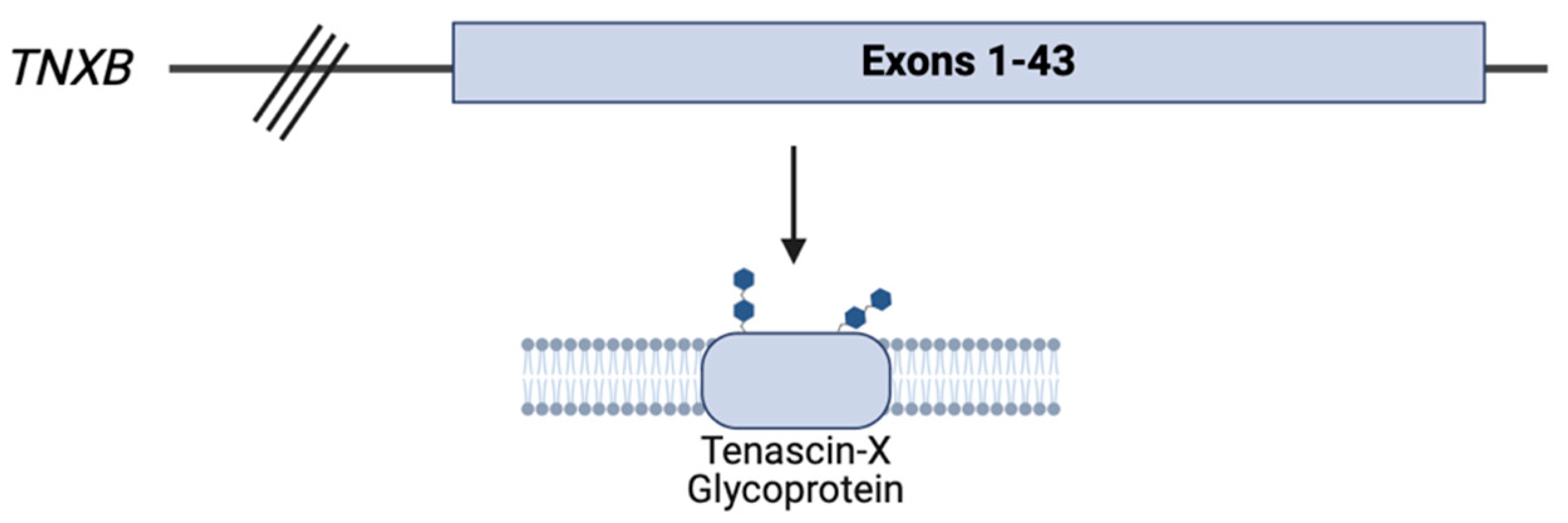 Preprints 115527 g004