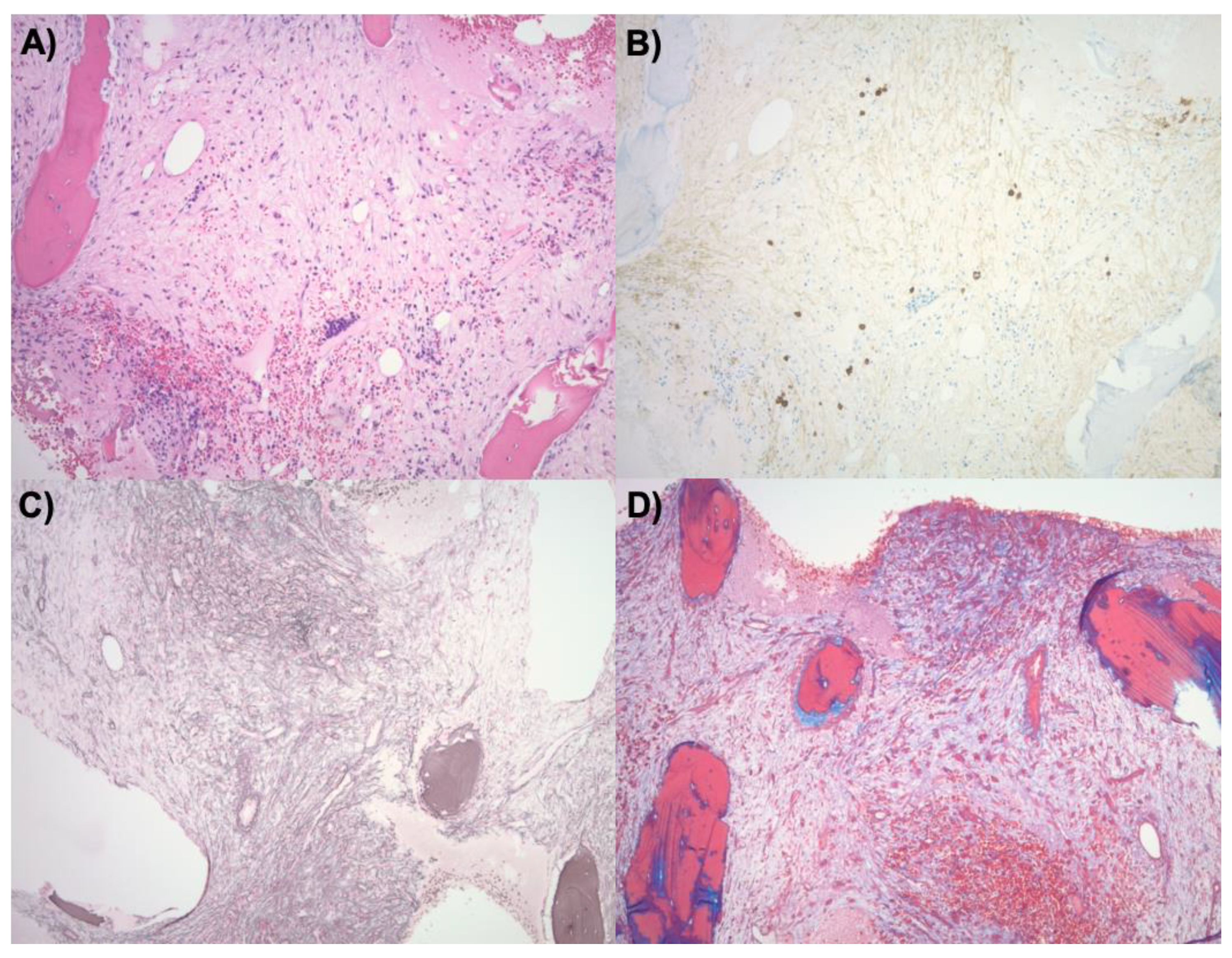 Preprints 121732 g001