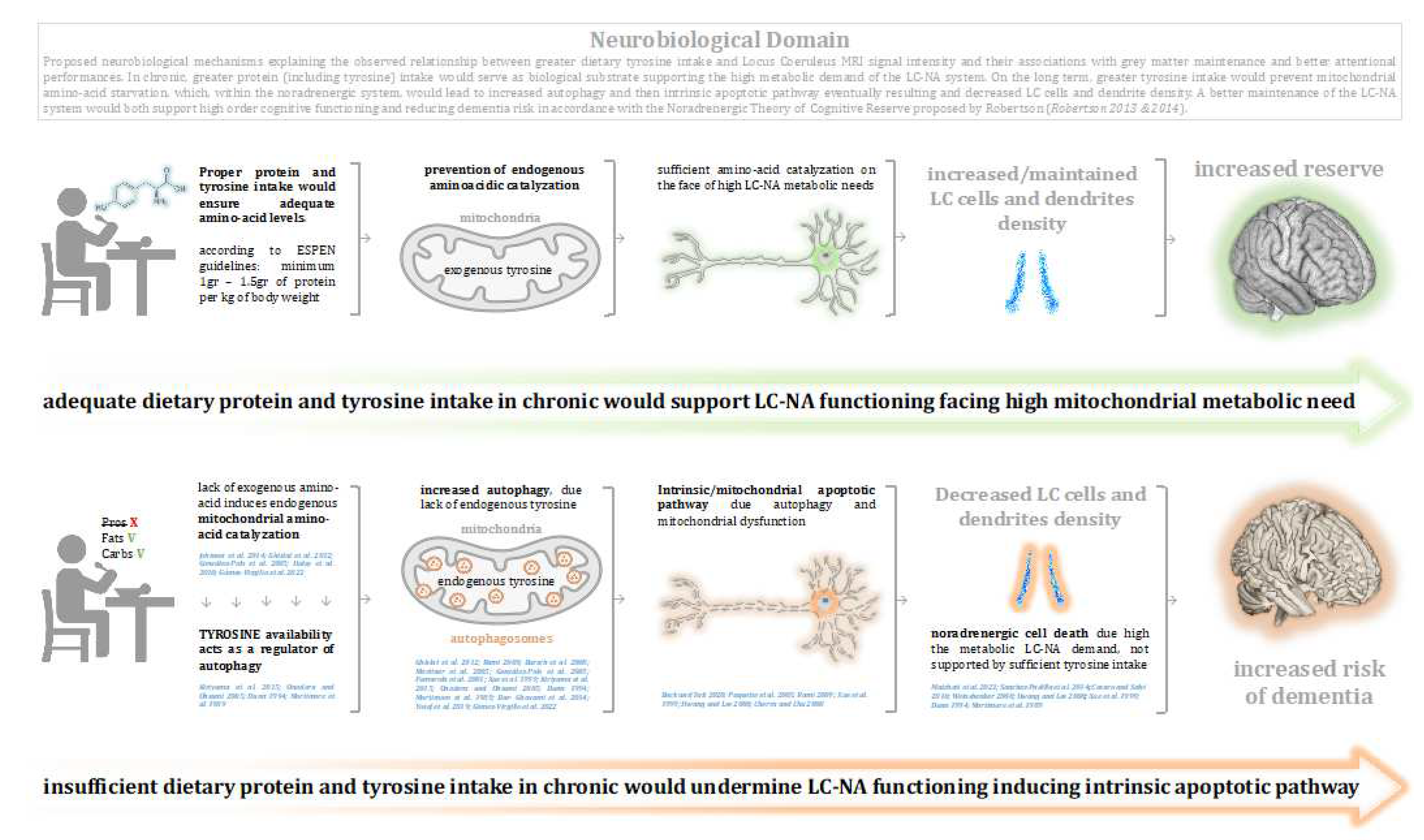 Preprints 71072 g004