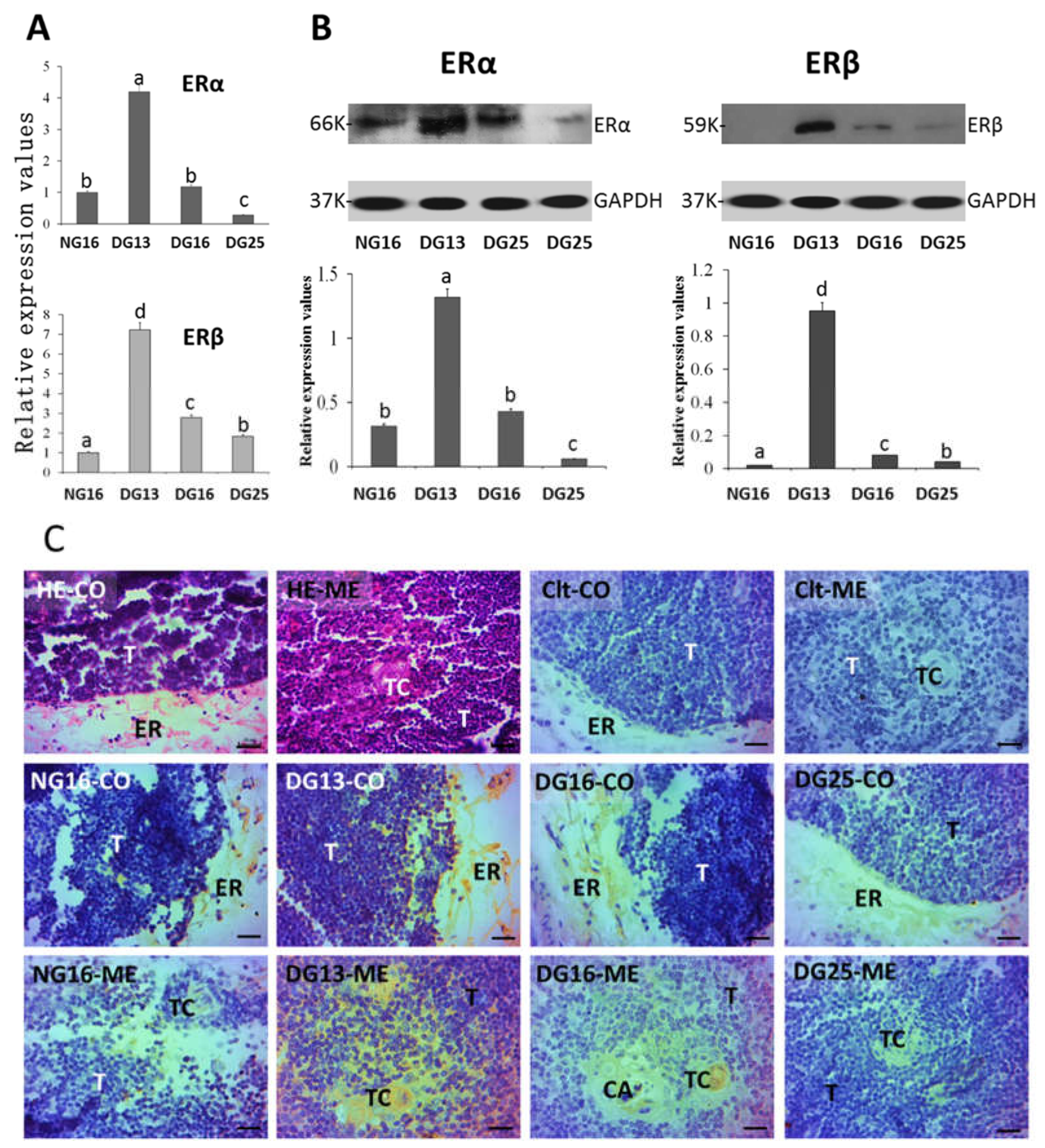 Preprints 117371 g001