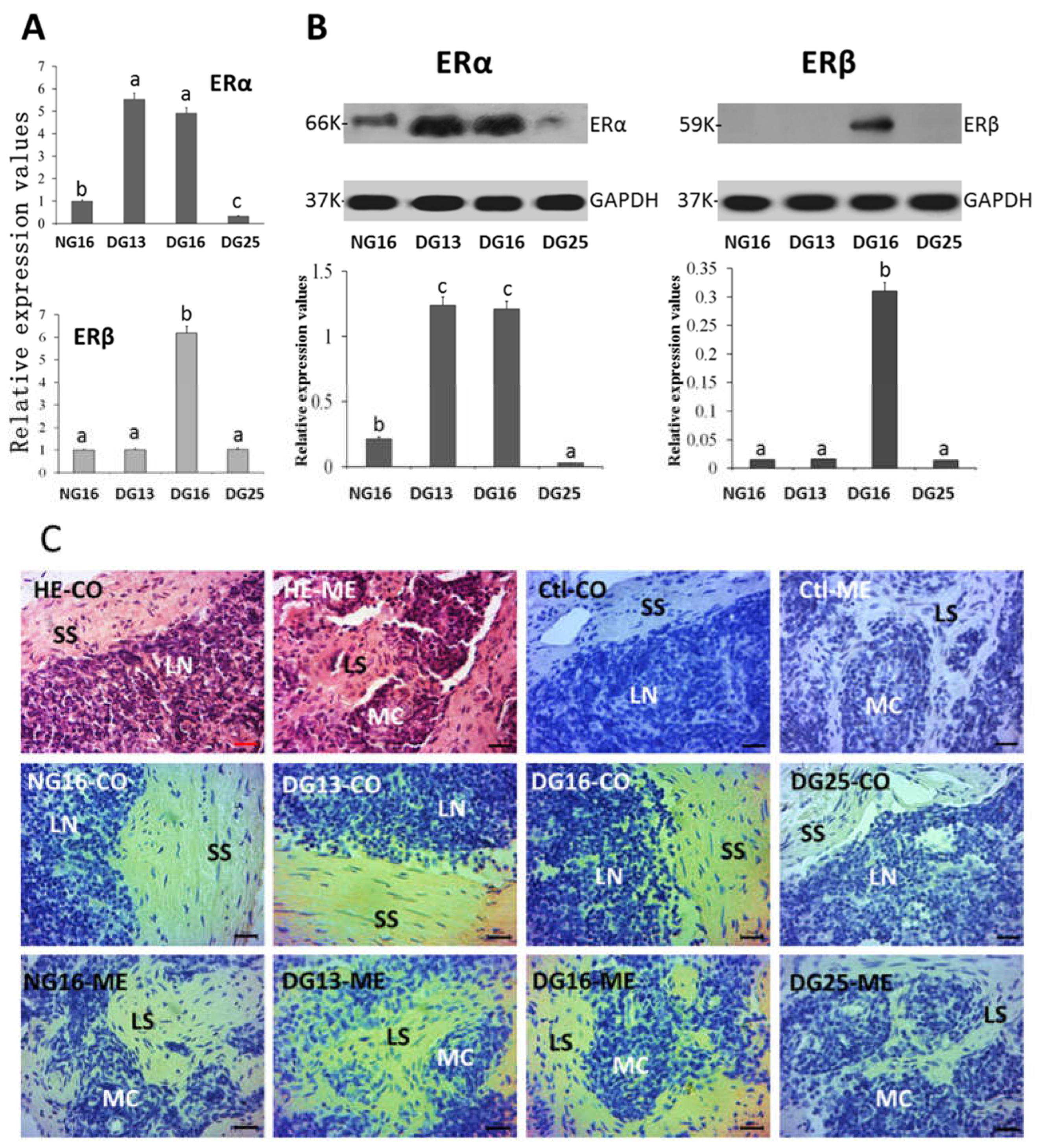 Preprints 117371 g002