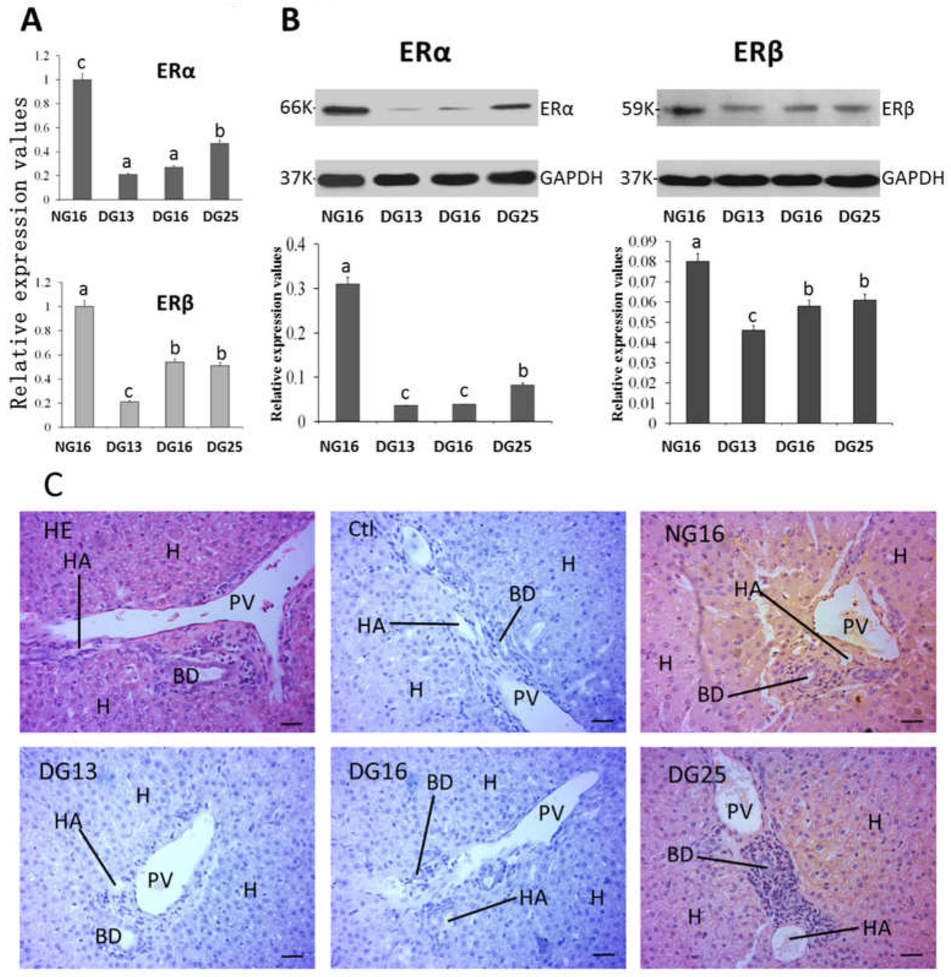 Preprints 117371 g004