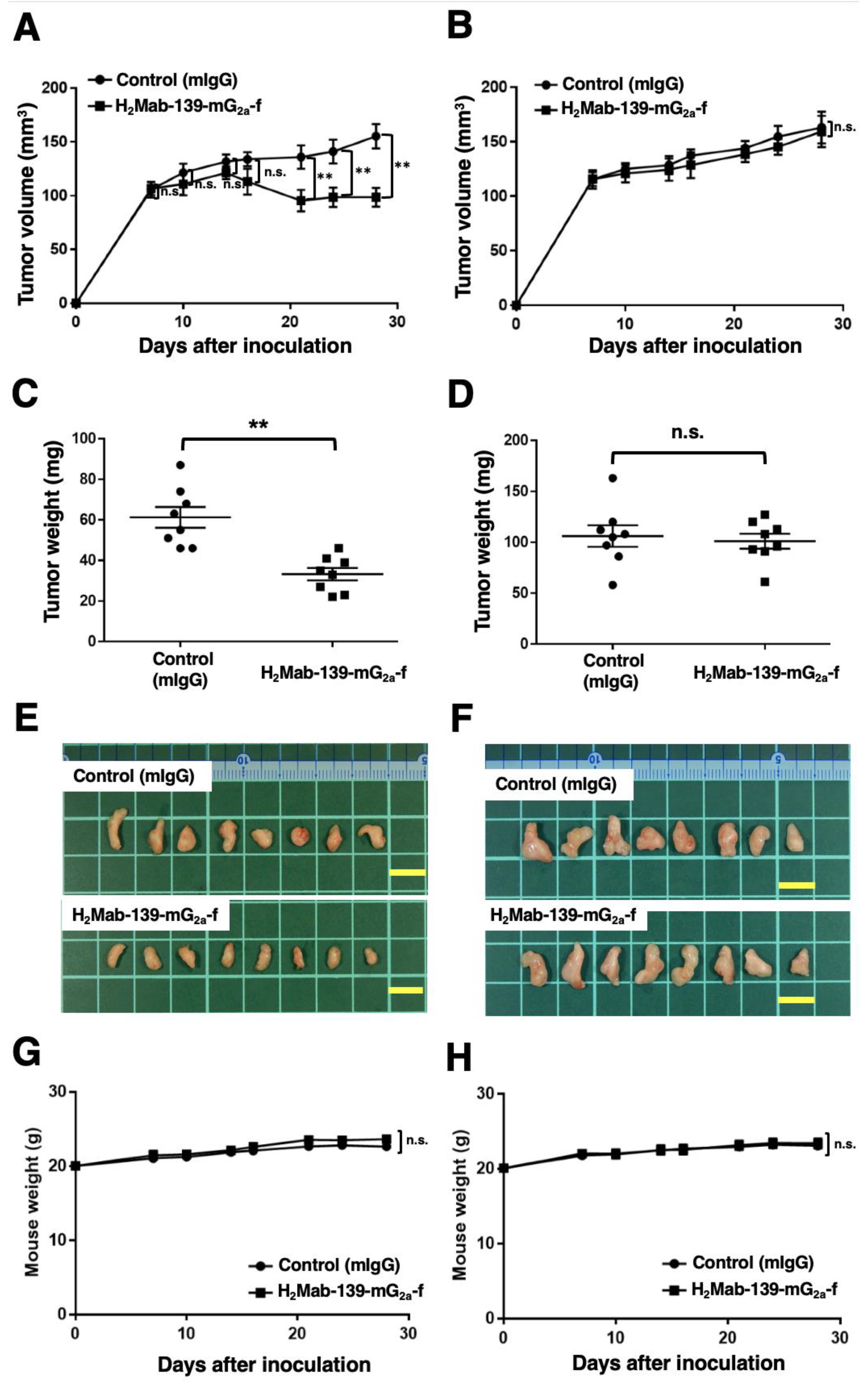 Preprints 78482 g006