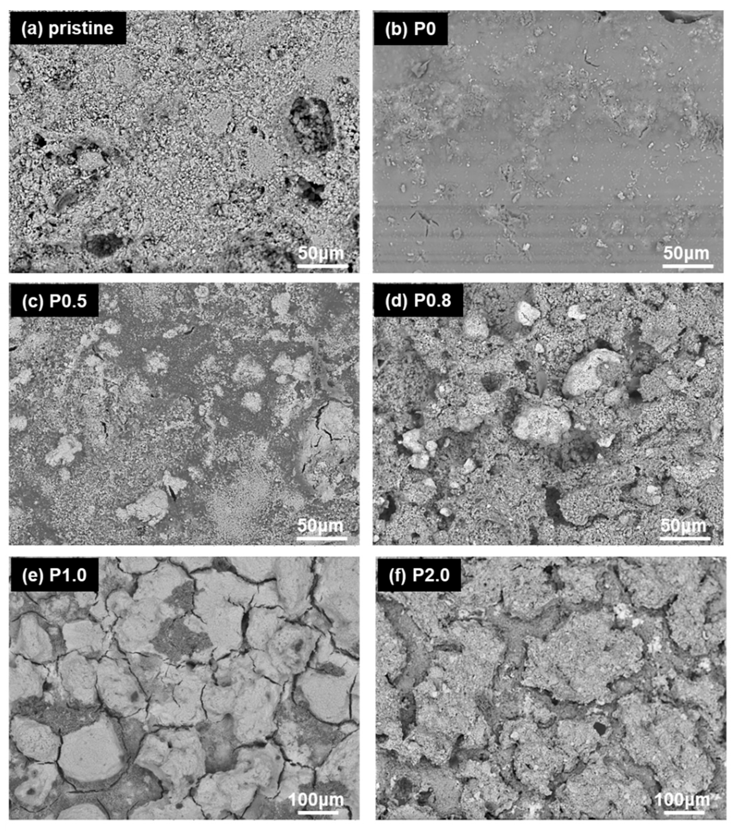 Preprints 112182 g001