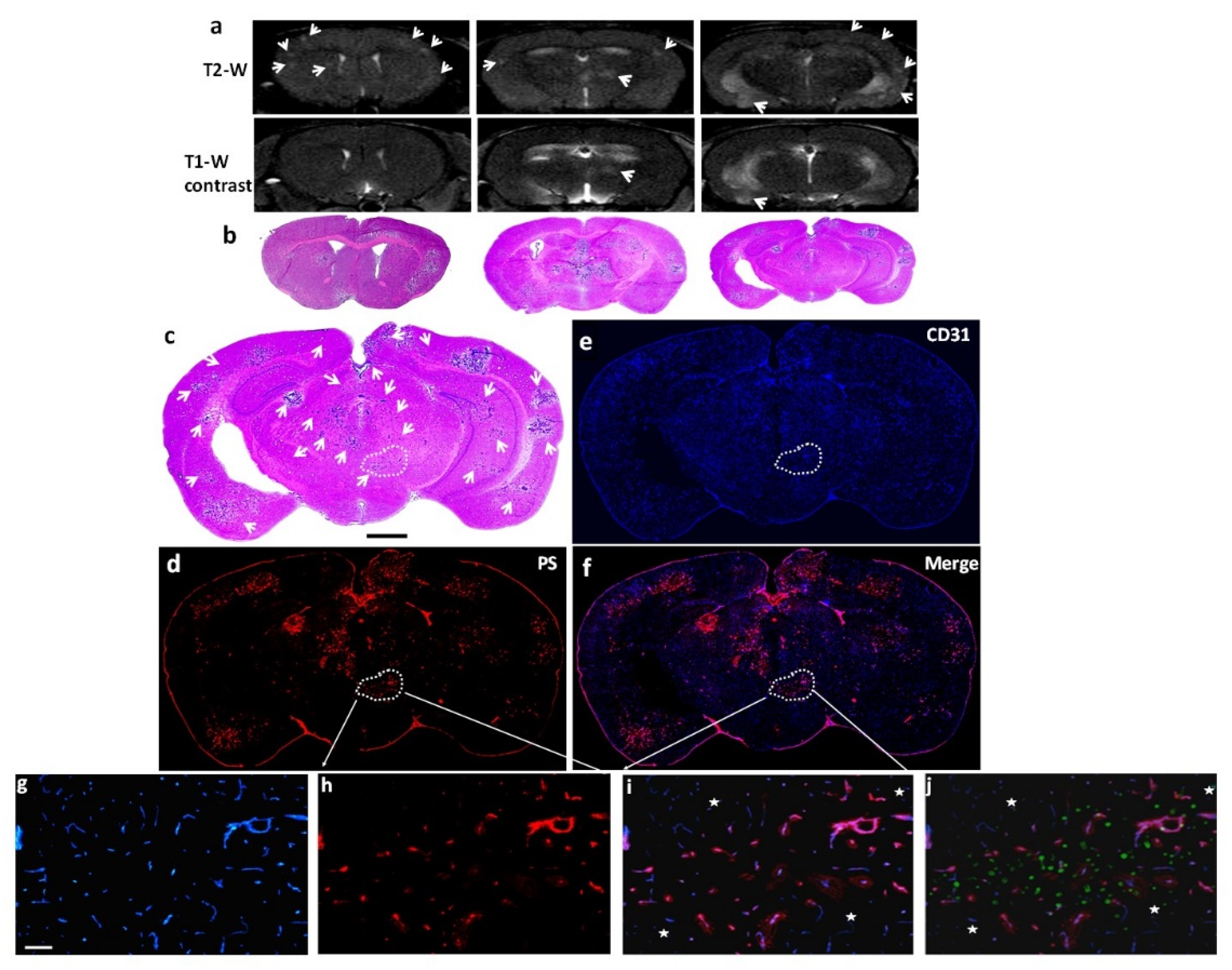 Preprints 115283 g002