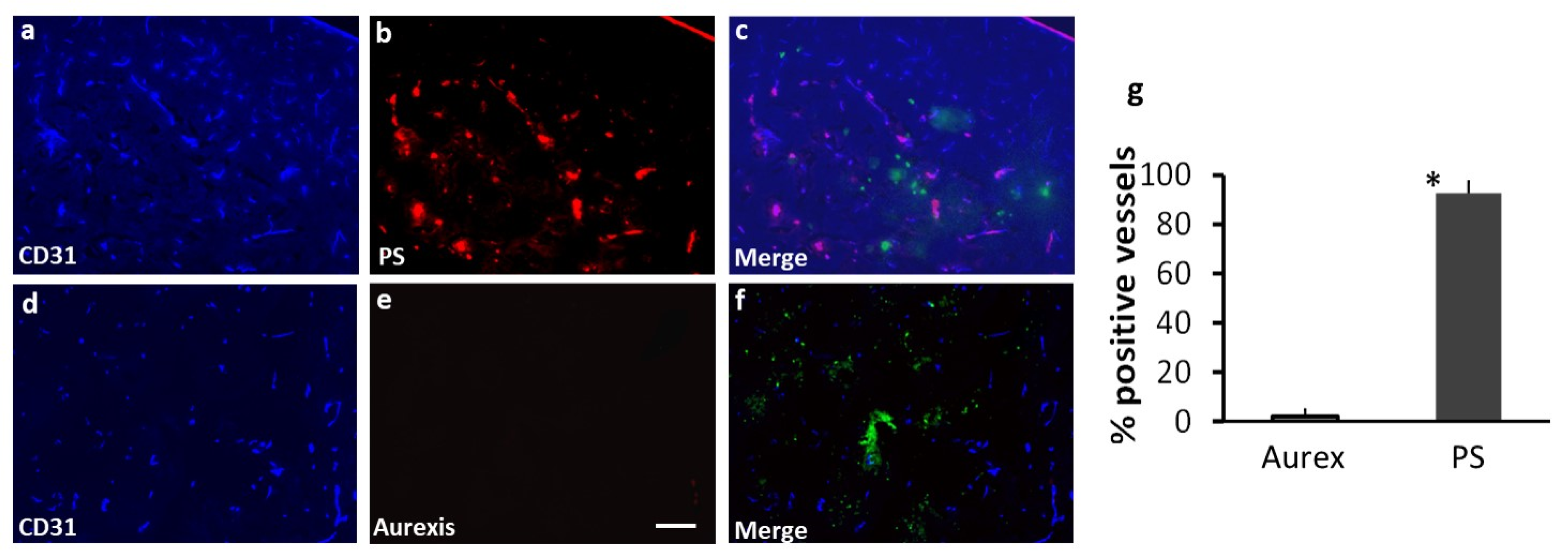 Preprints 115283 g003