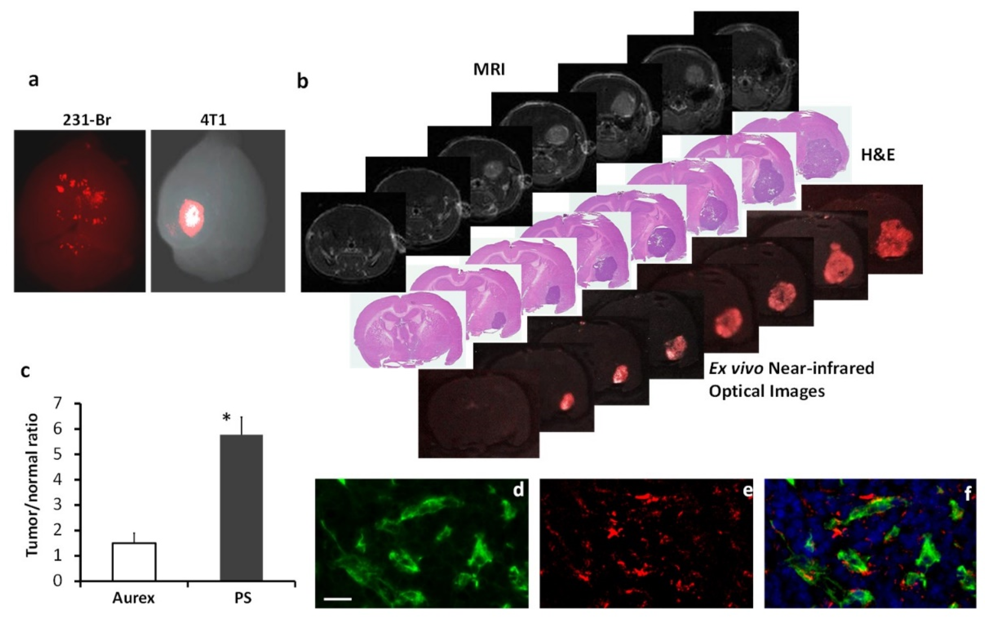 Preprints 115283 g005