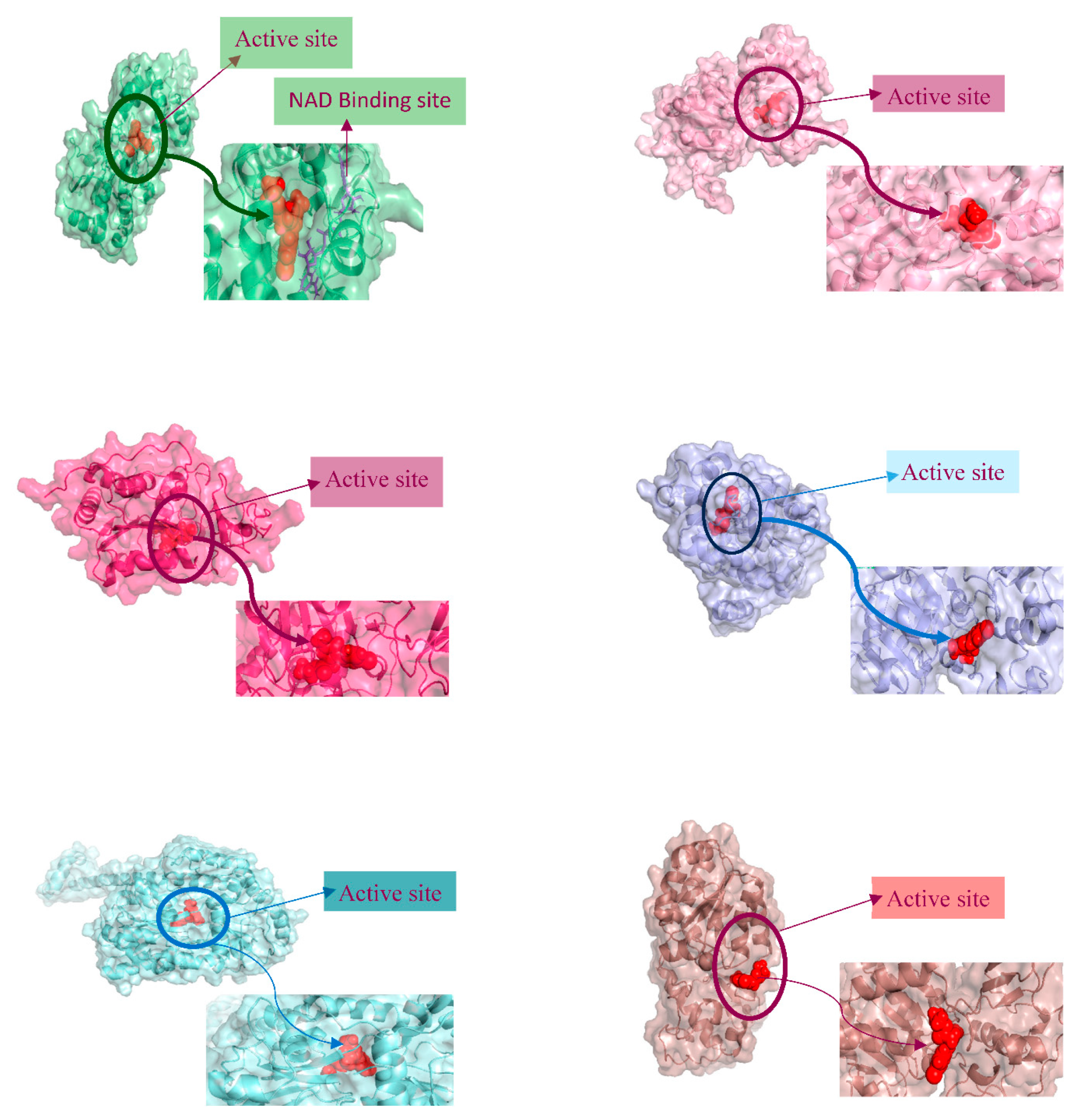 Preprints 82626 g002