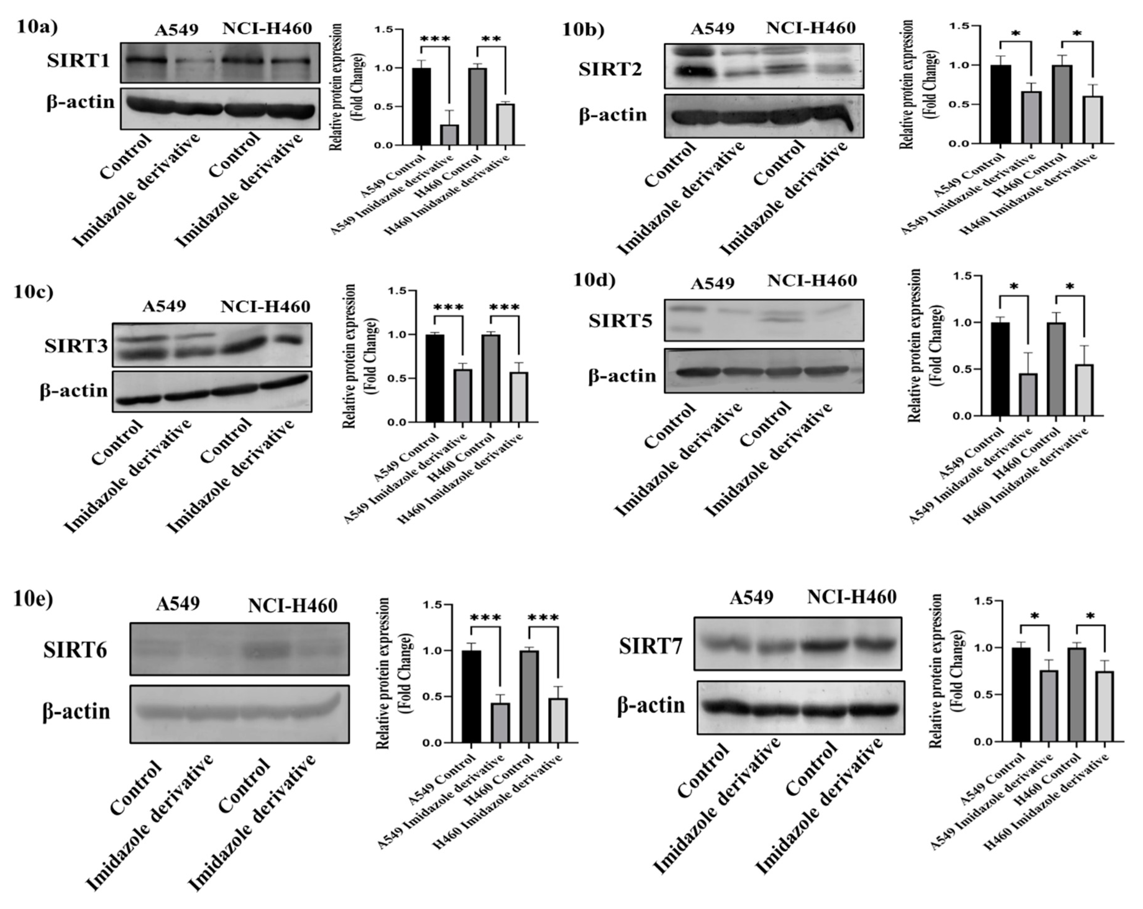 Preprints 82626 g010