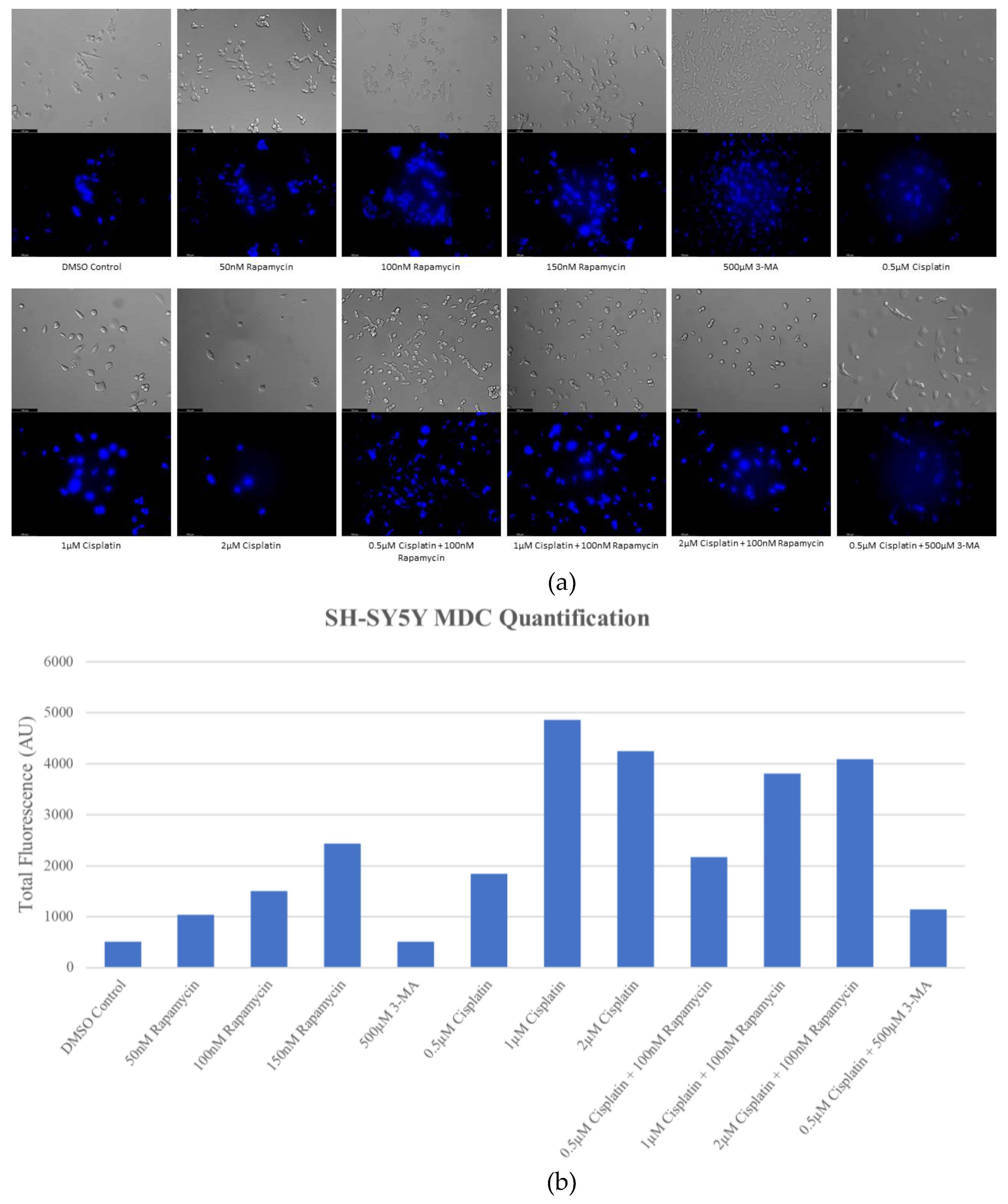 Preprints 76119 g001