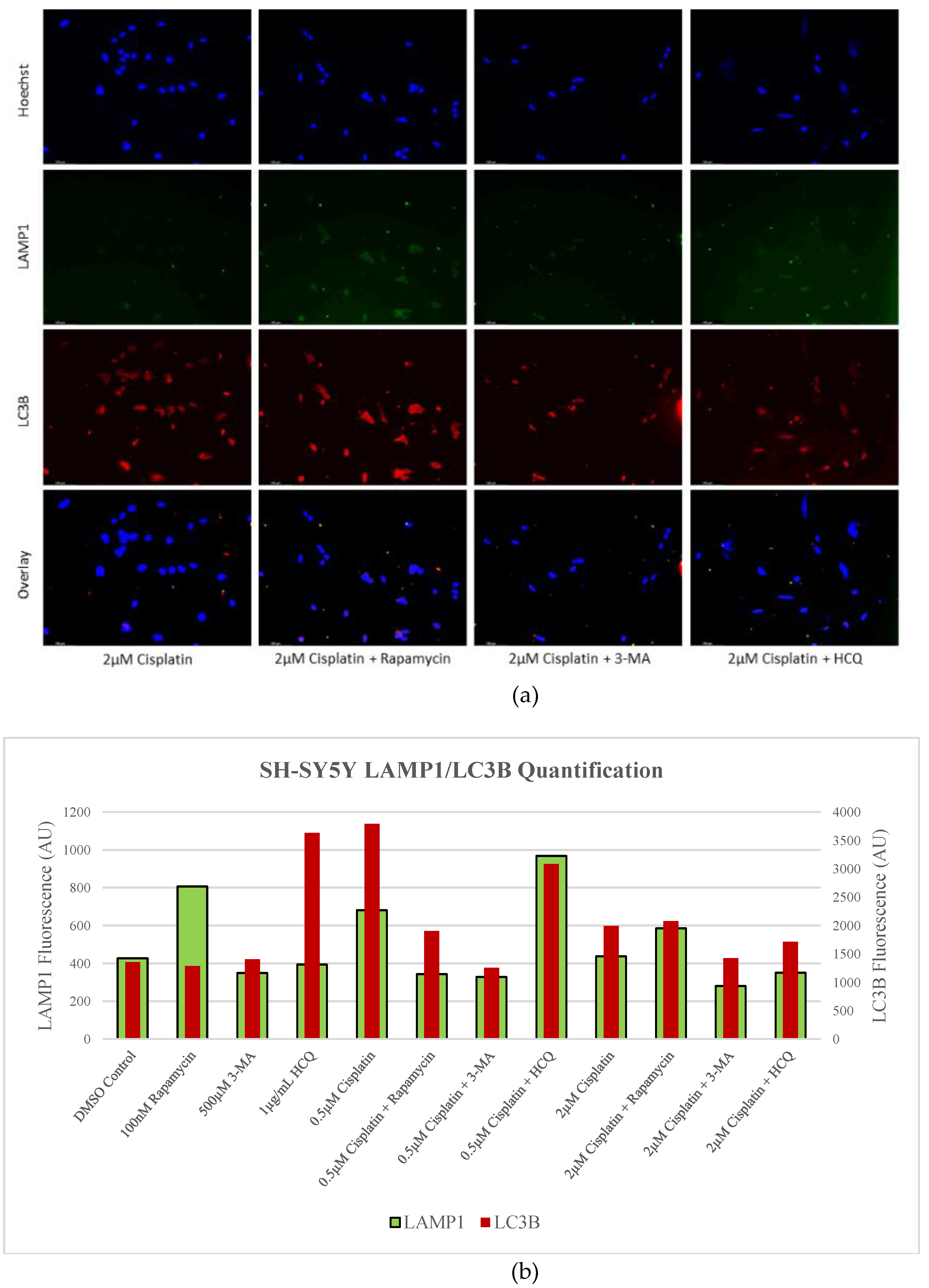 Preprints 76119 g003b