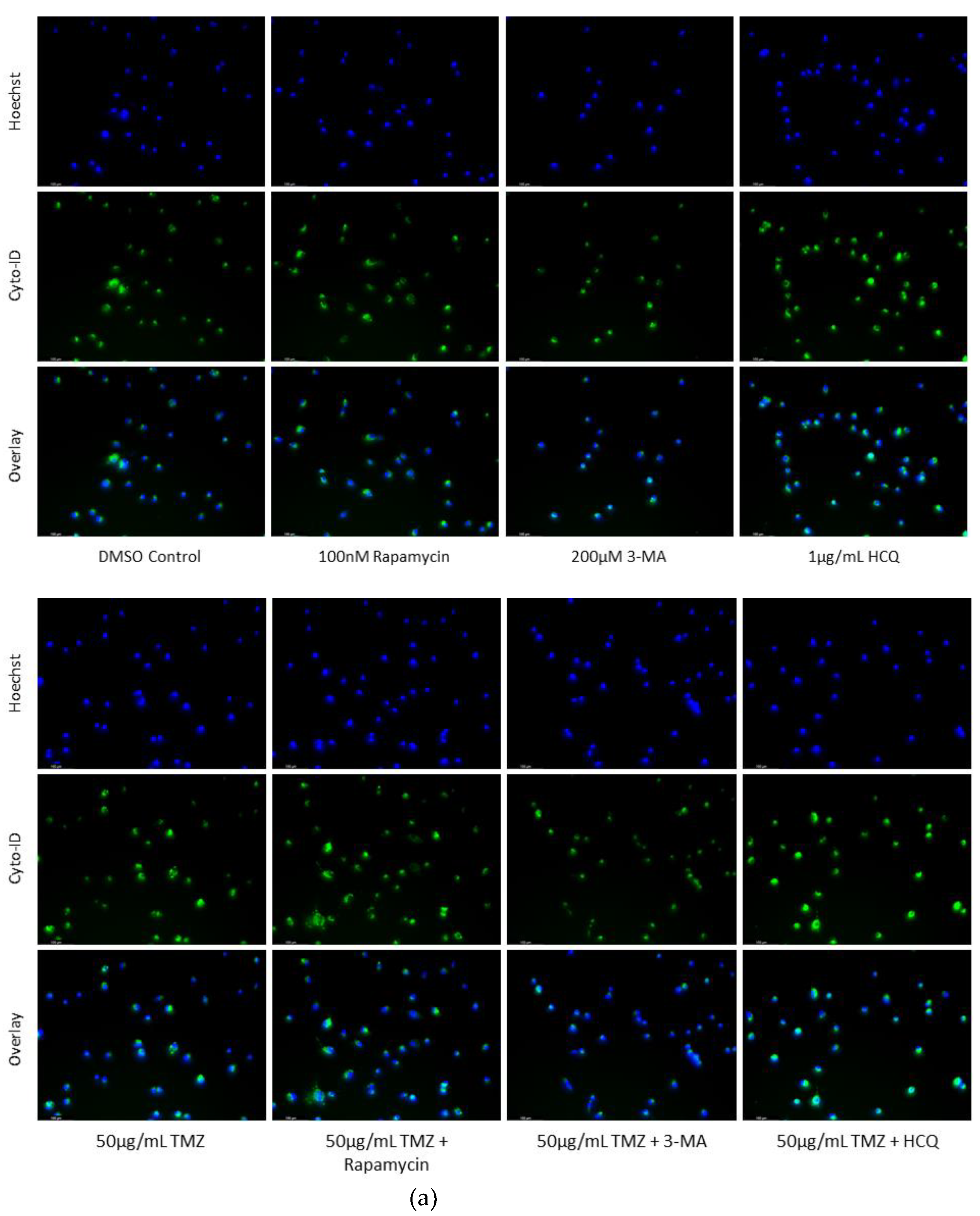 Preprints 76119 g004a