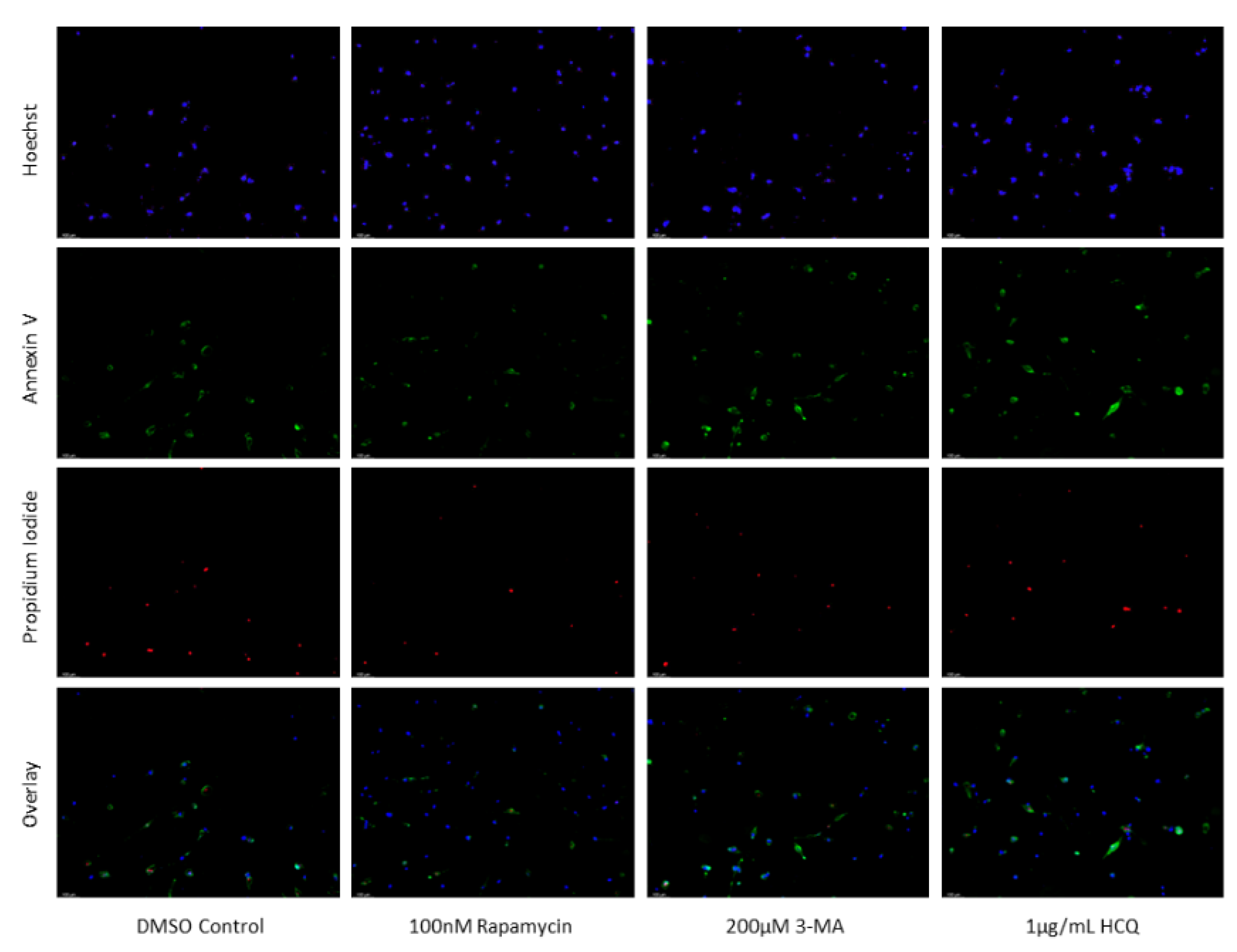 Preprints 76119 g007a