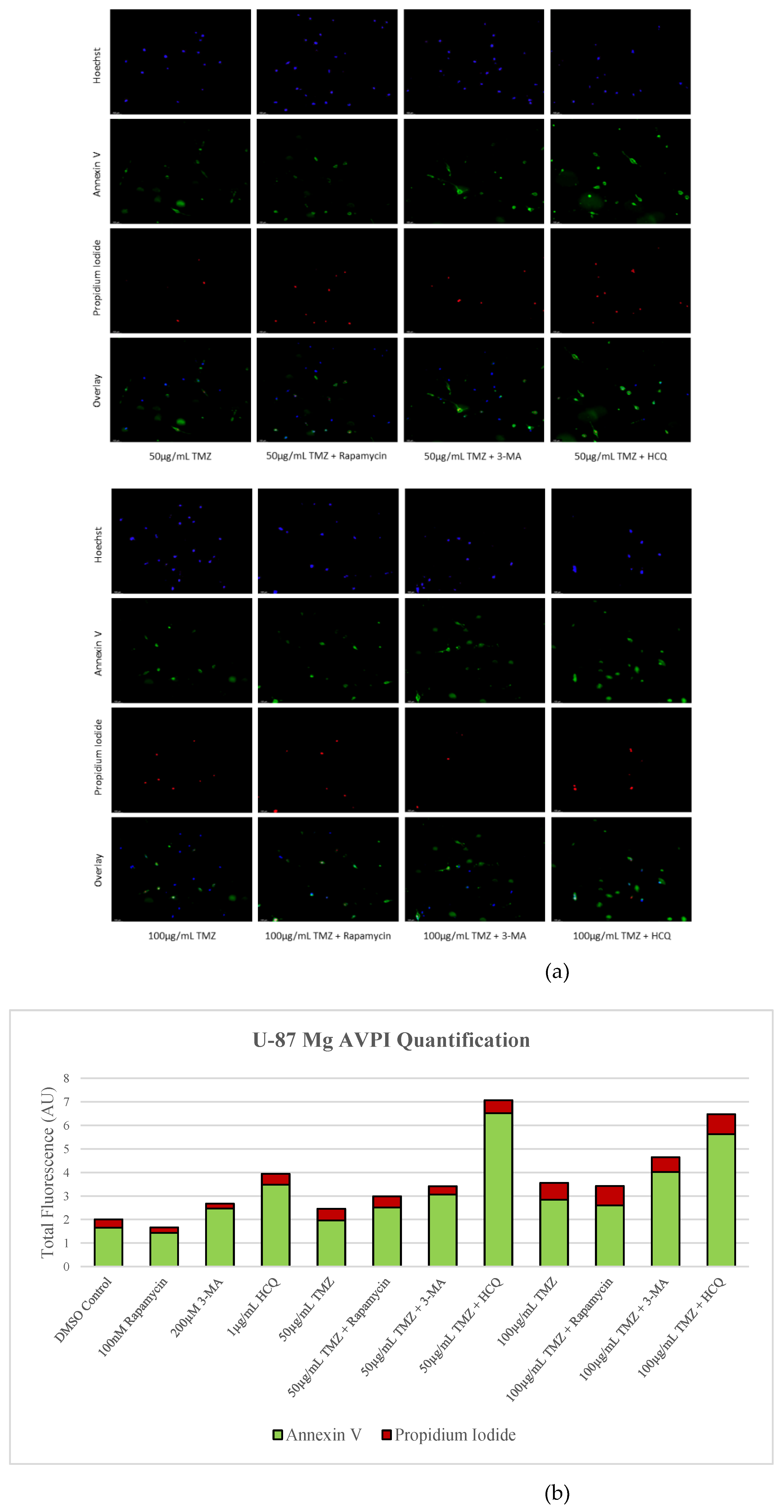 Preprints 76119 g007b