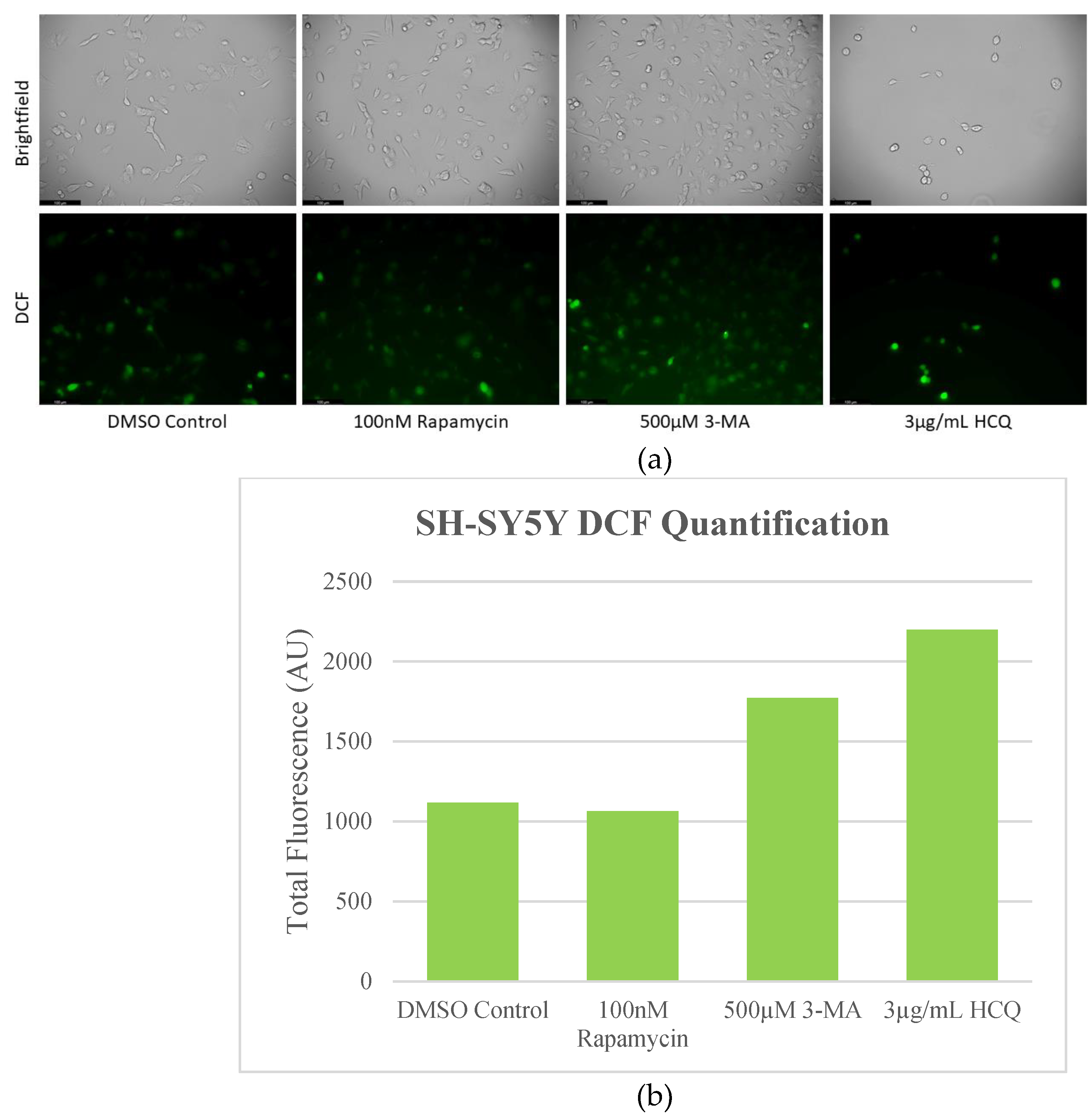 Preprints 76119 g008