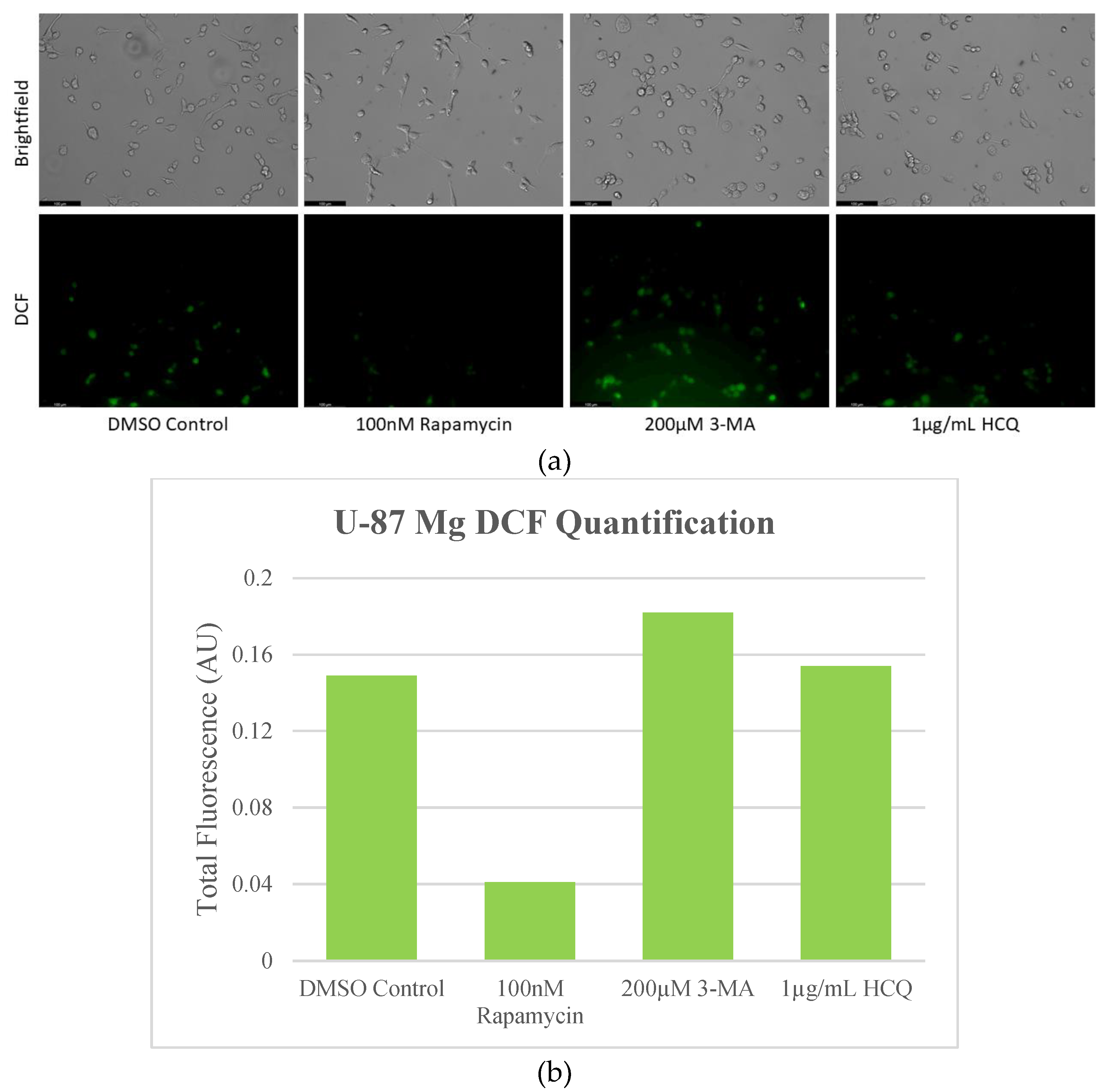 Preprints 76119 g009