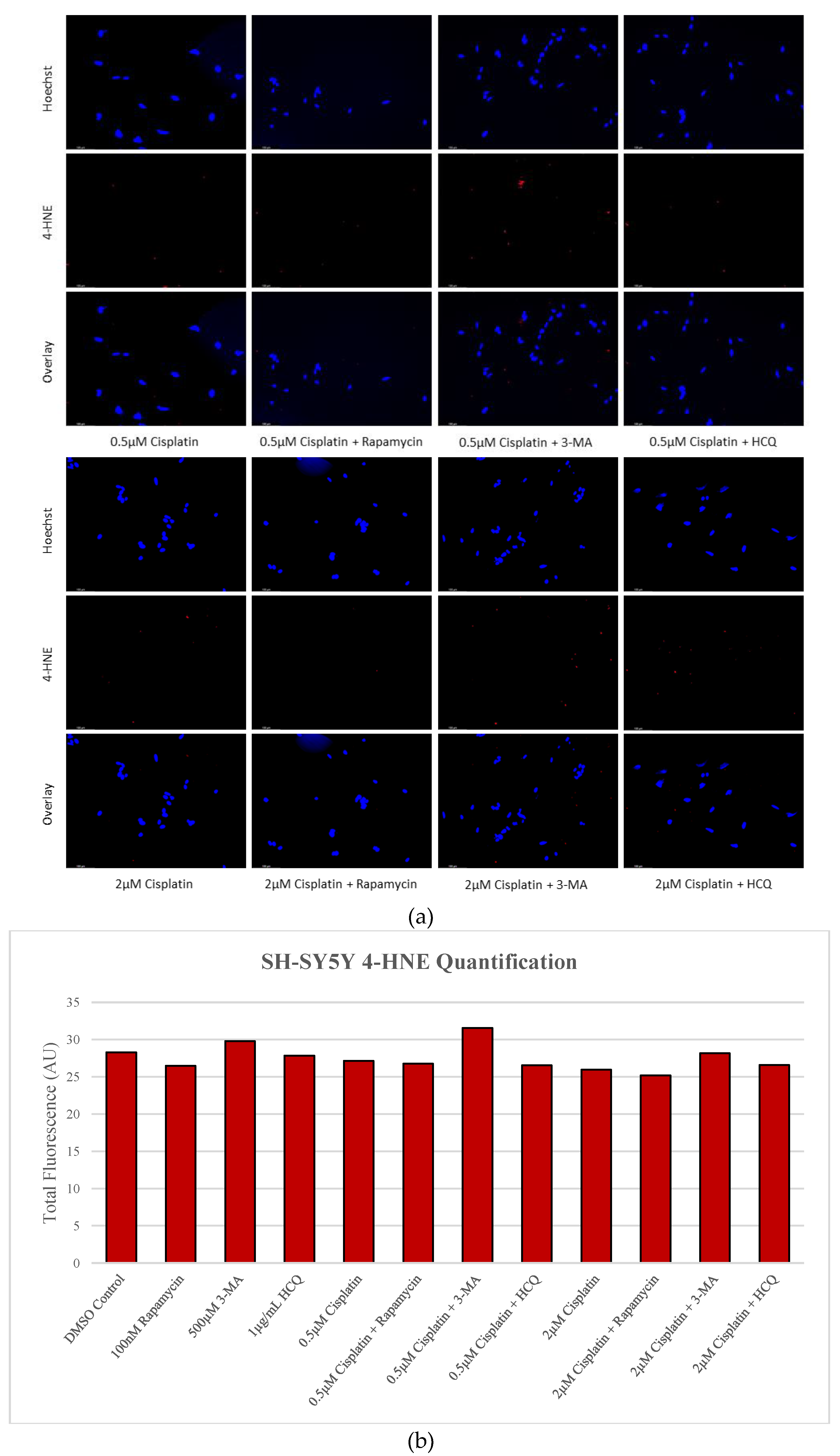 Preprints 76119 g010b