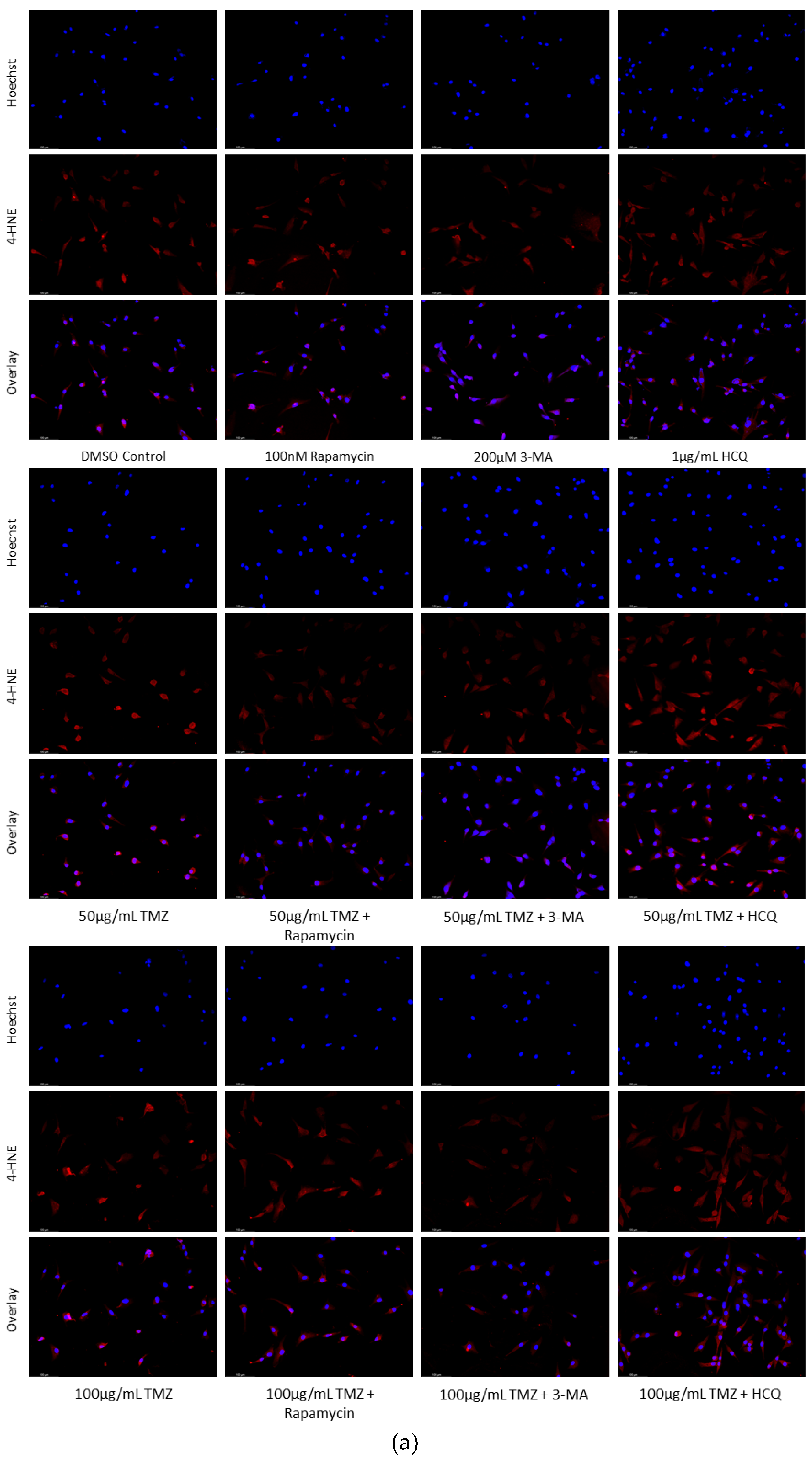 Preprints 76119 g011a