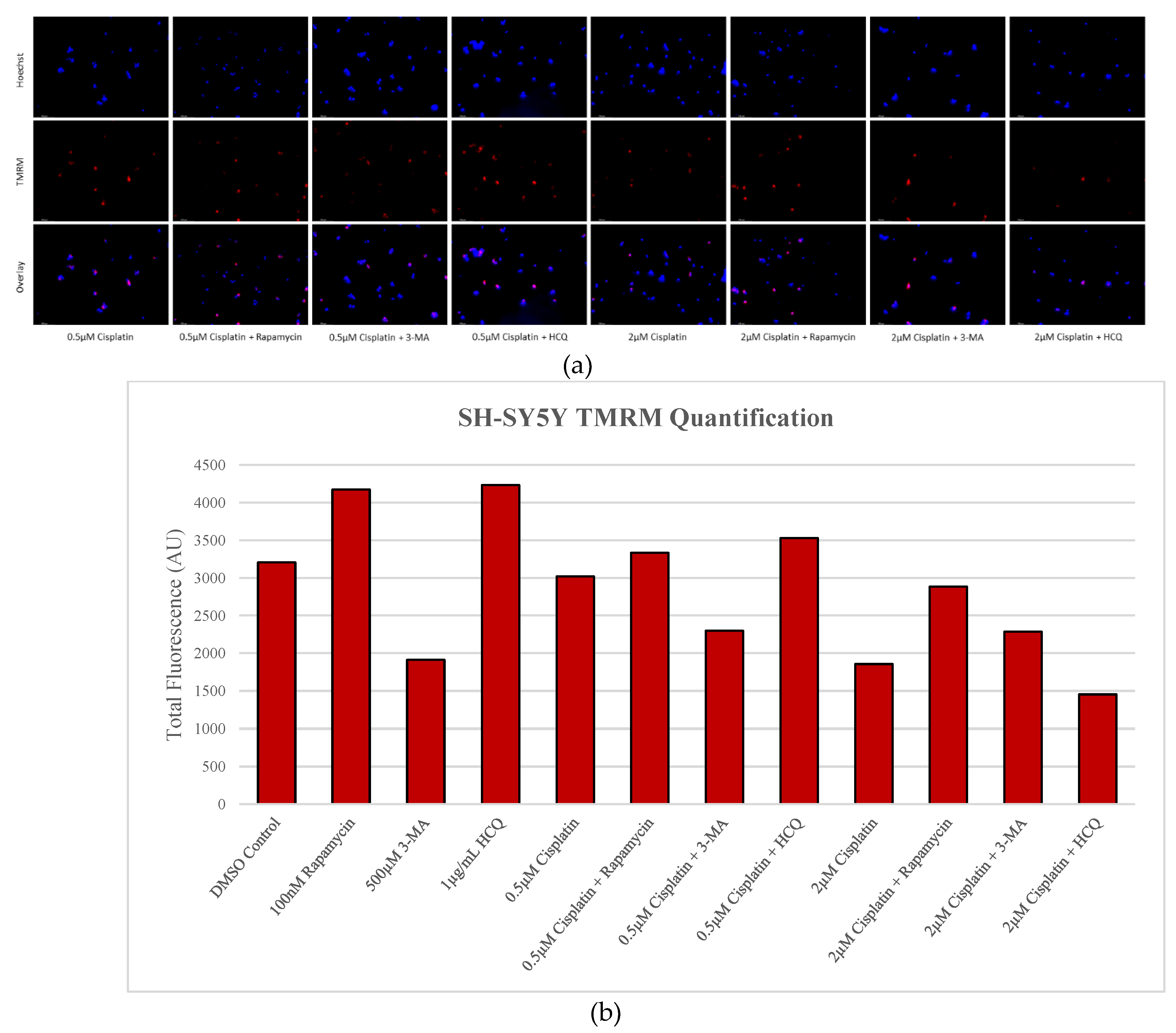 Preprints 76119 g012b