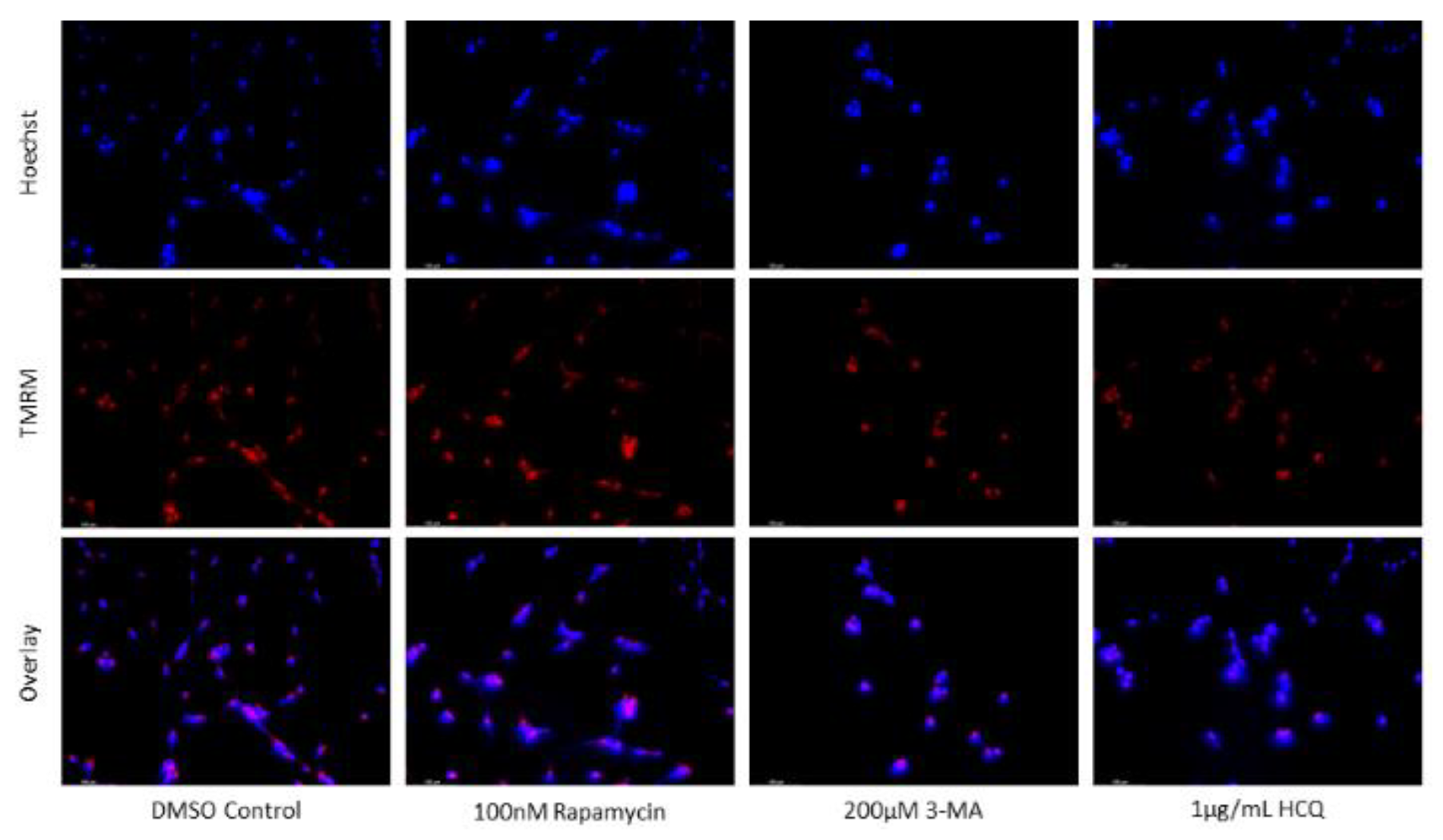 Preprints 76119 g013a