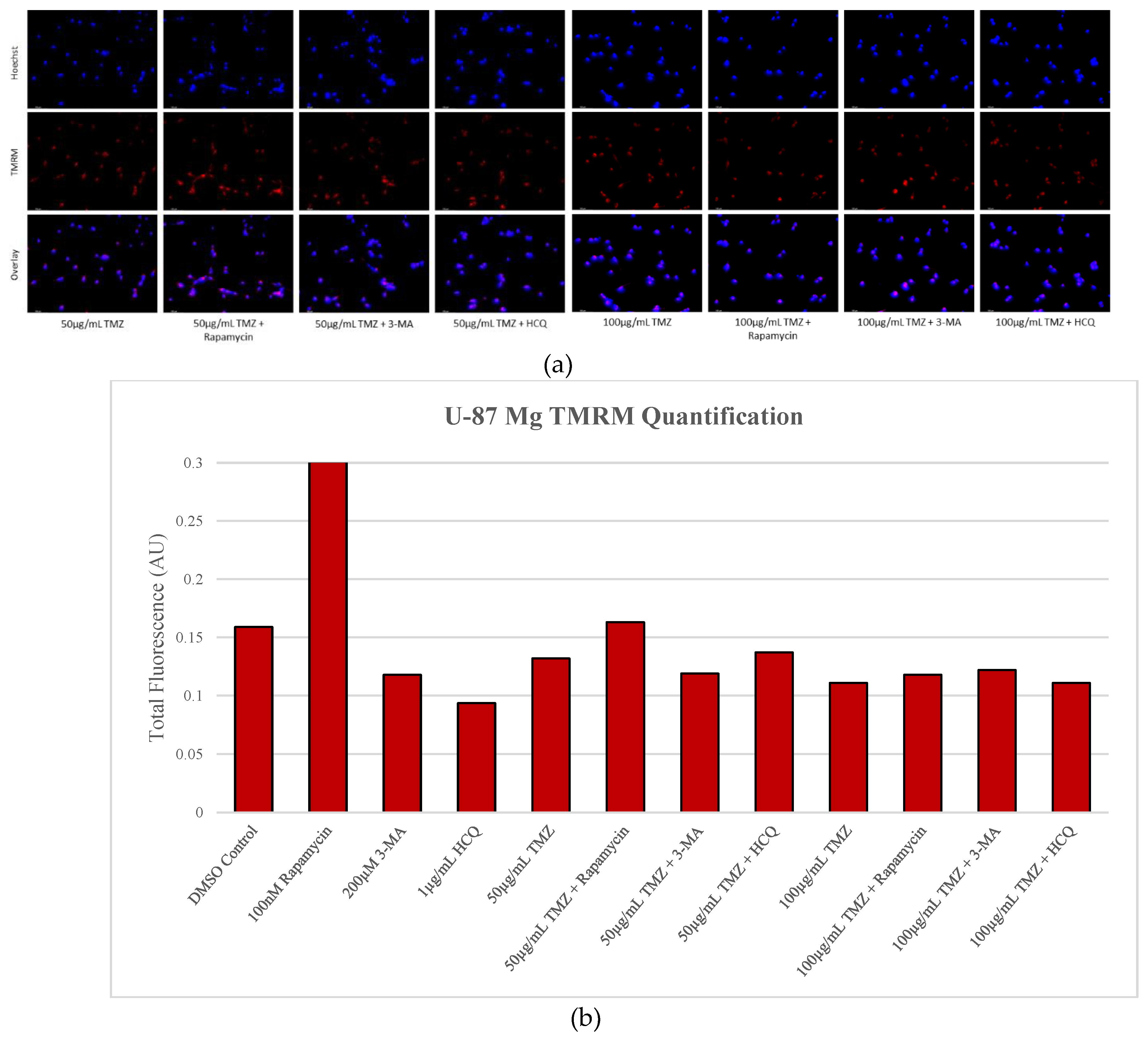 Preprints 76119 g013b