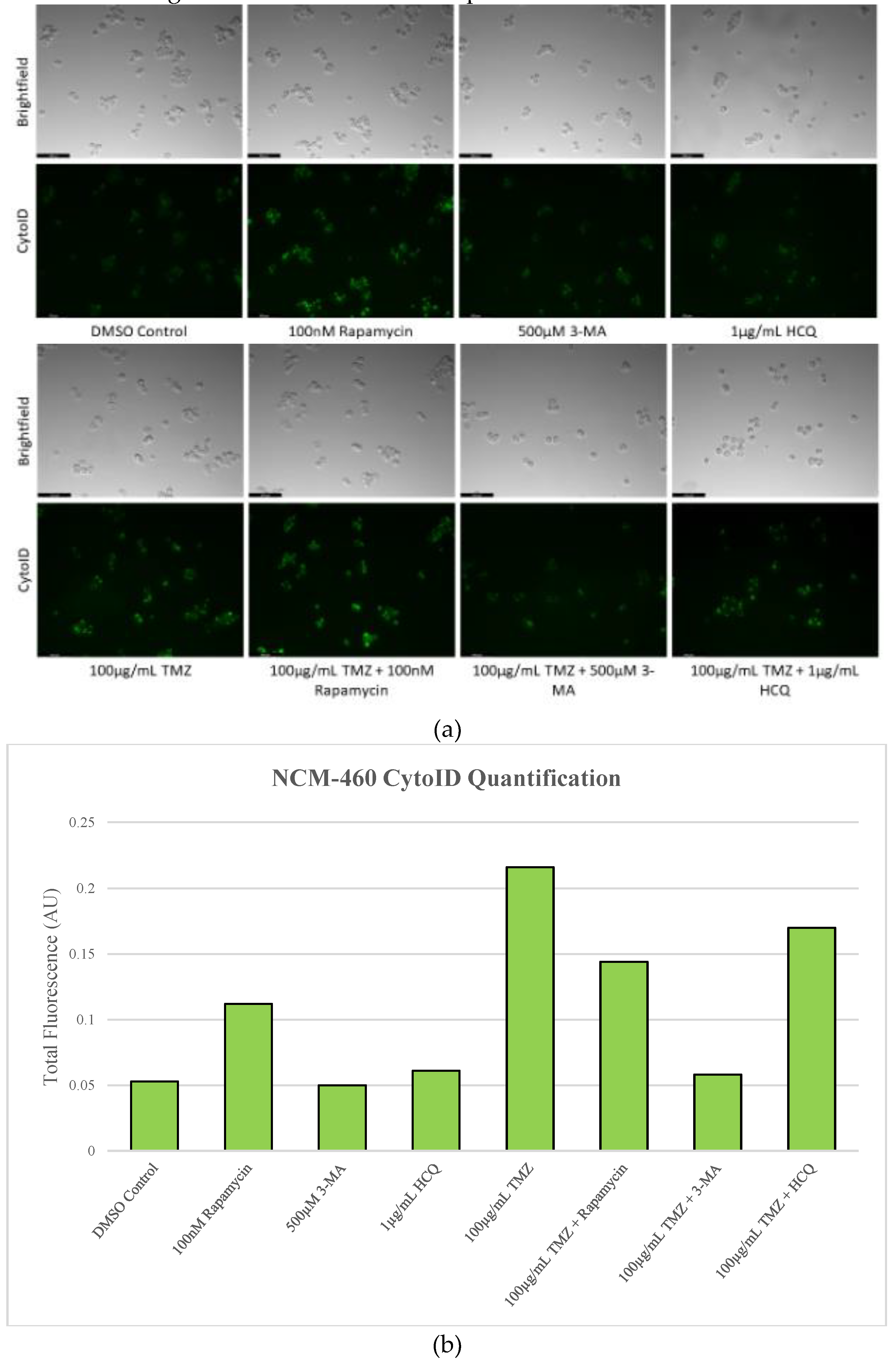 Preprints 76119 g014