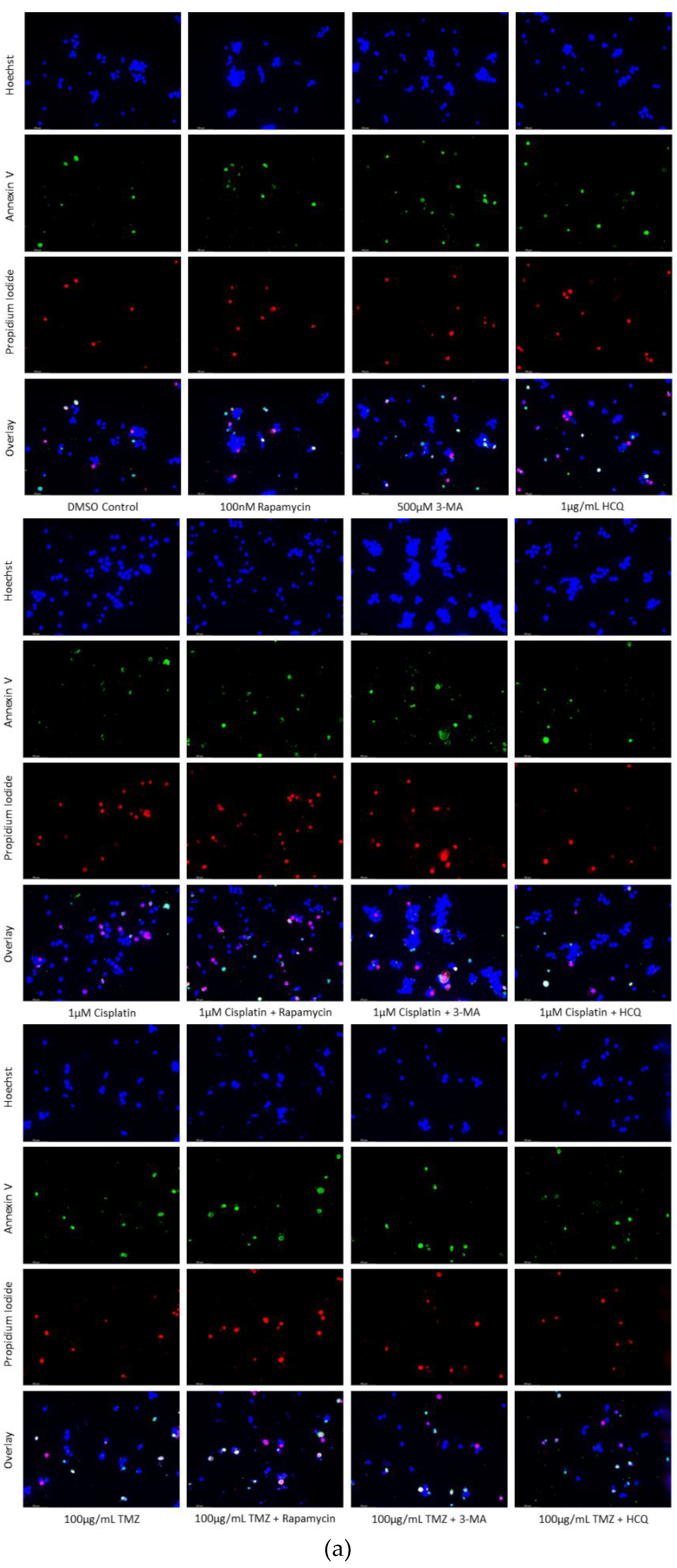 Preprints 76119 g015a