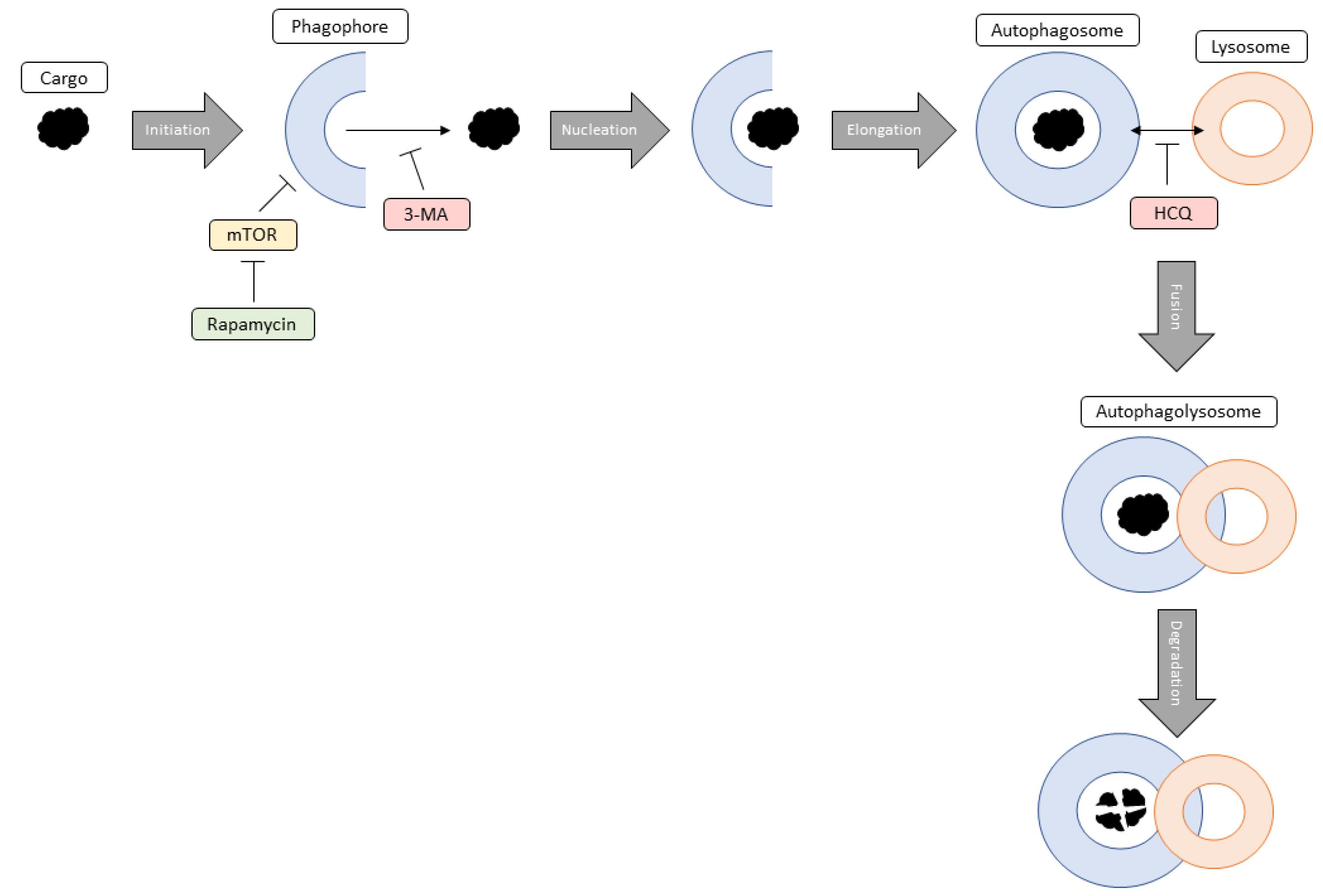 Preprints 76119 g017