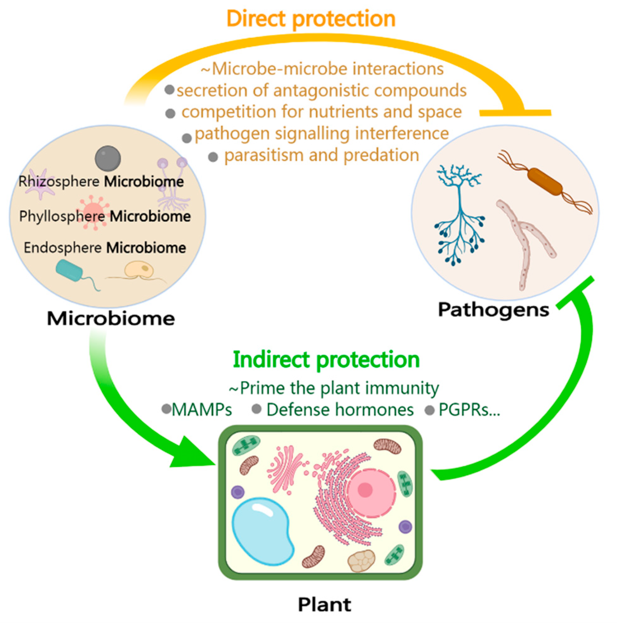 Preprints 89858 g002