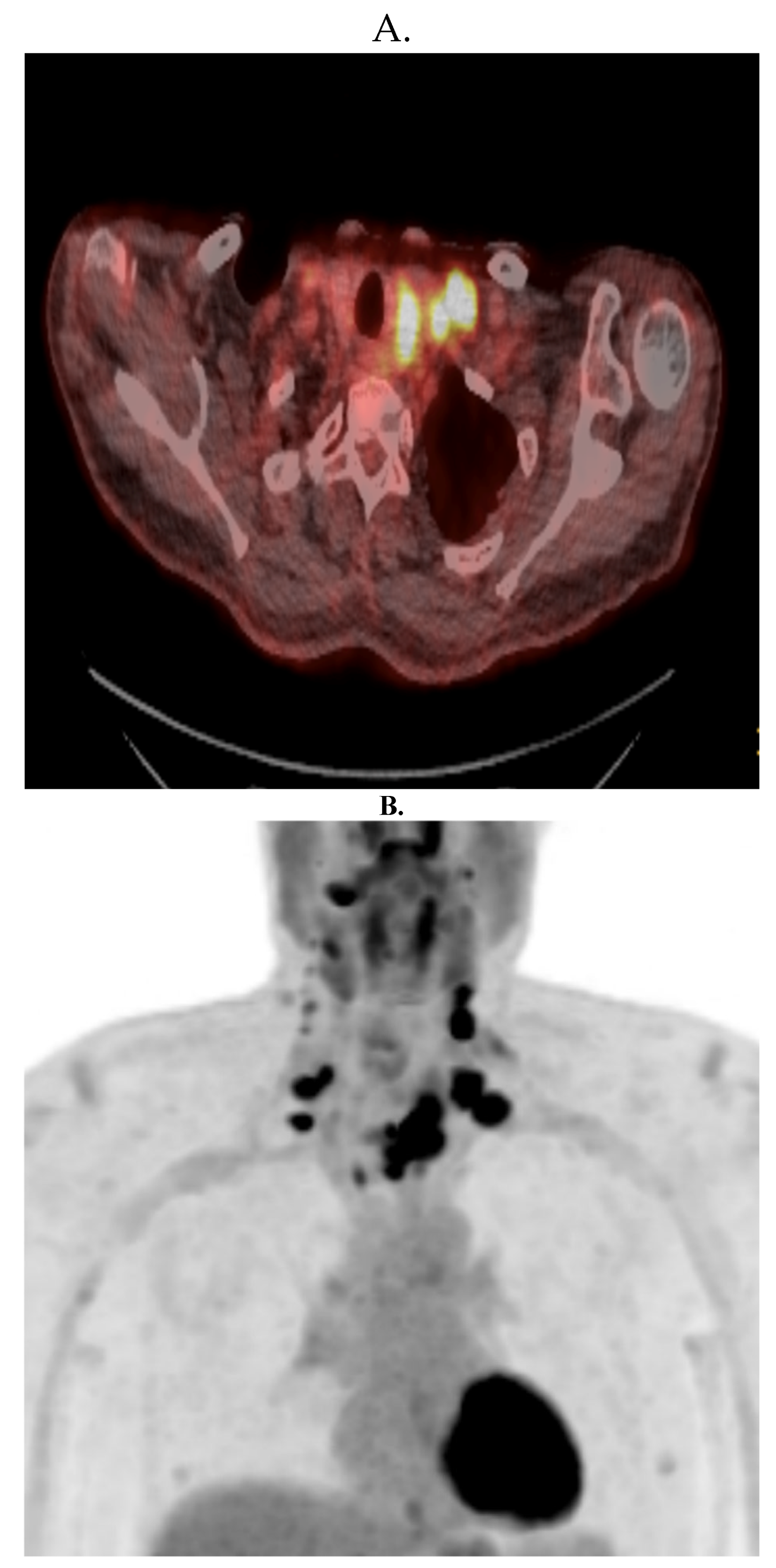 Preprints 120210 g004