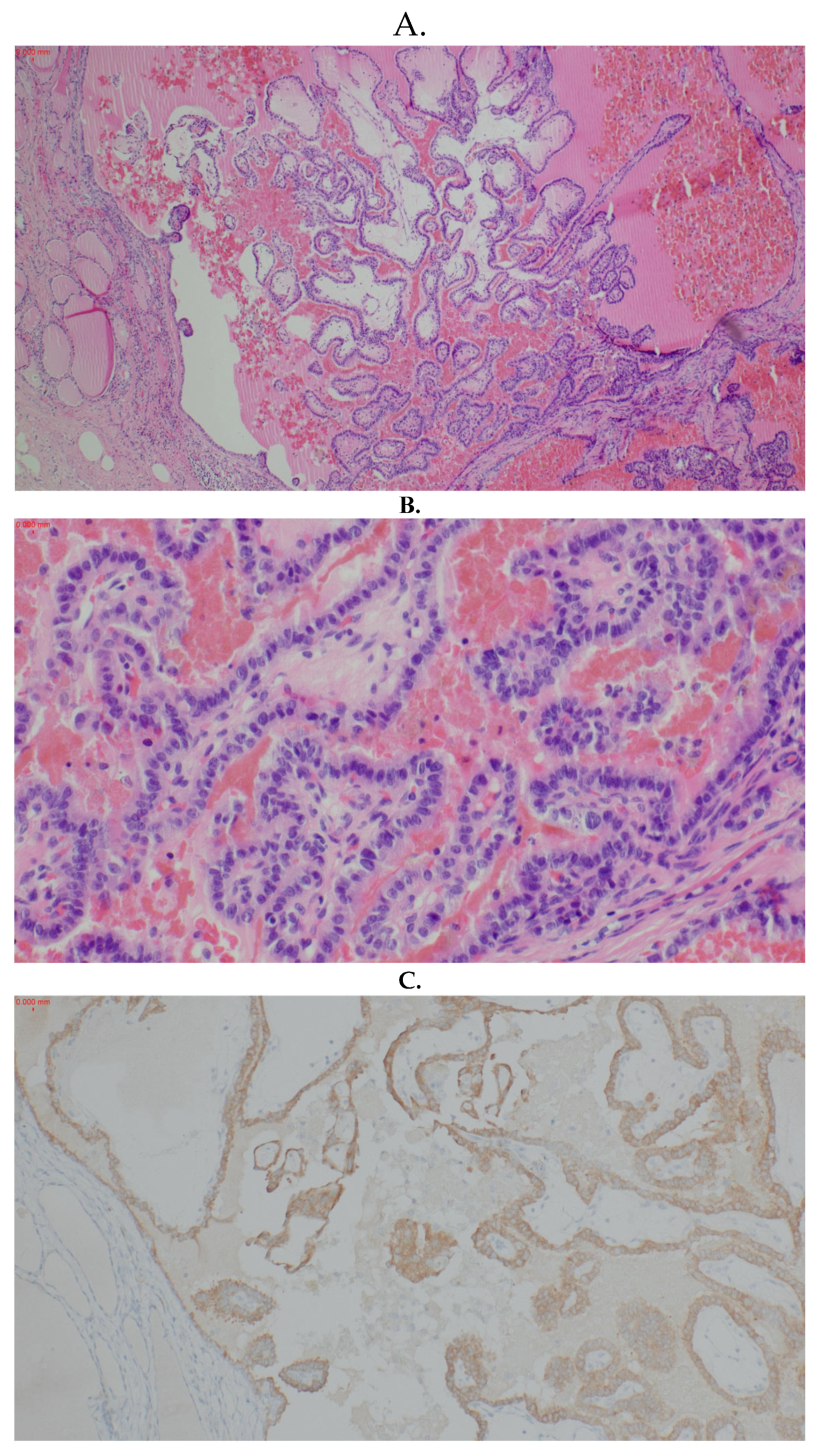 Preprints 120210 g005