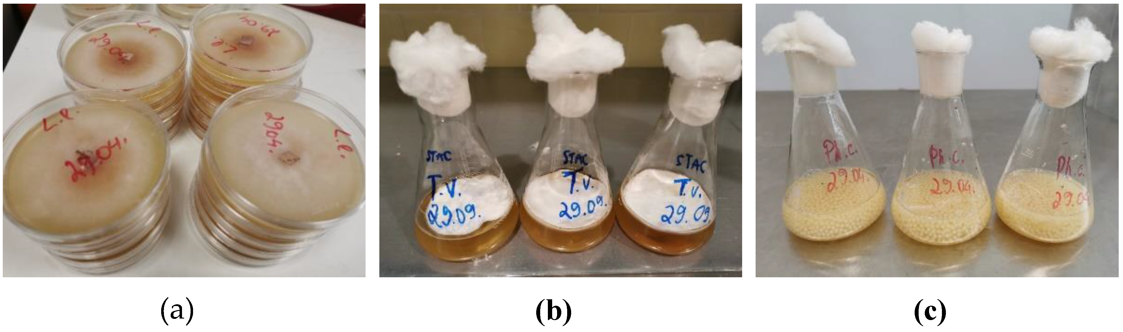 Preprints 72578 g002