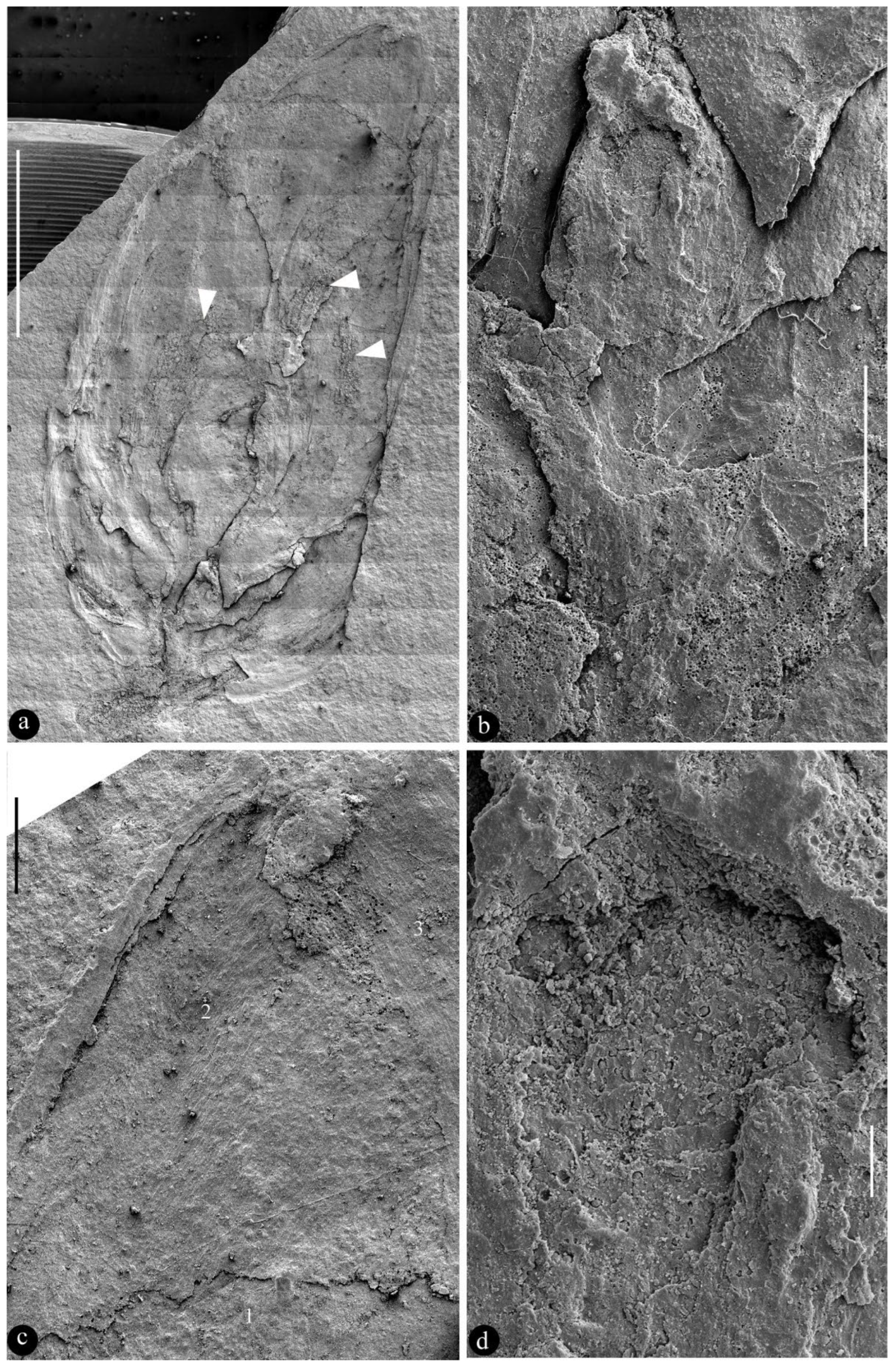 Preprints 103179 g003