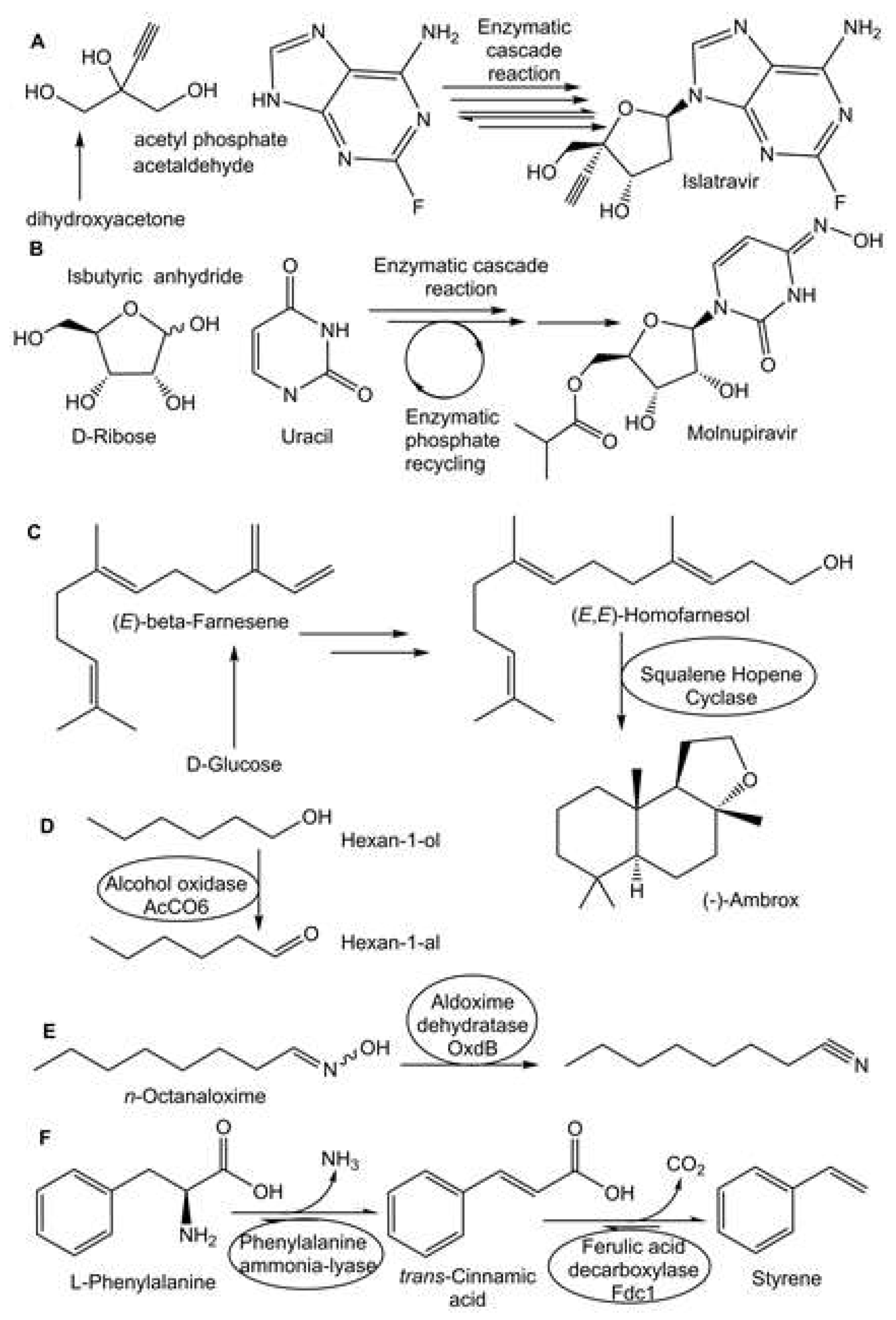 Preprints 114860 g004