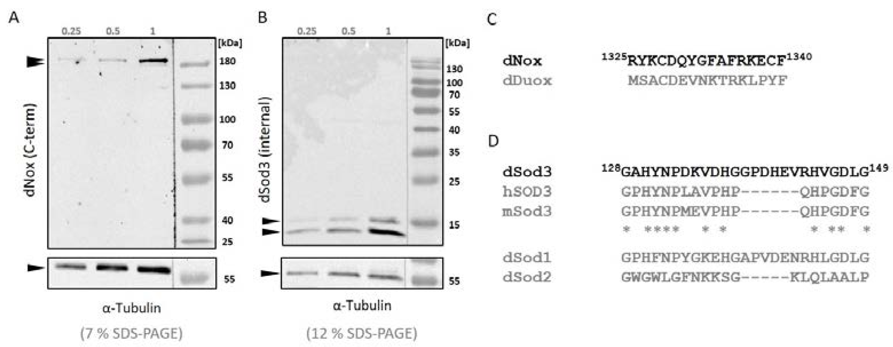 Preprints 104652 g001