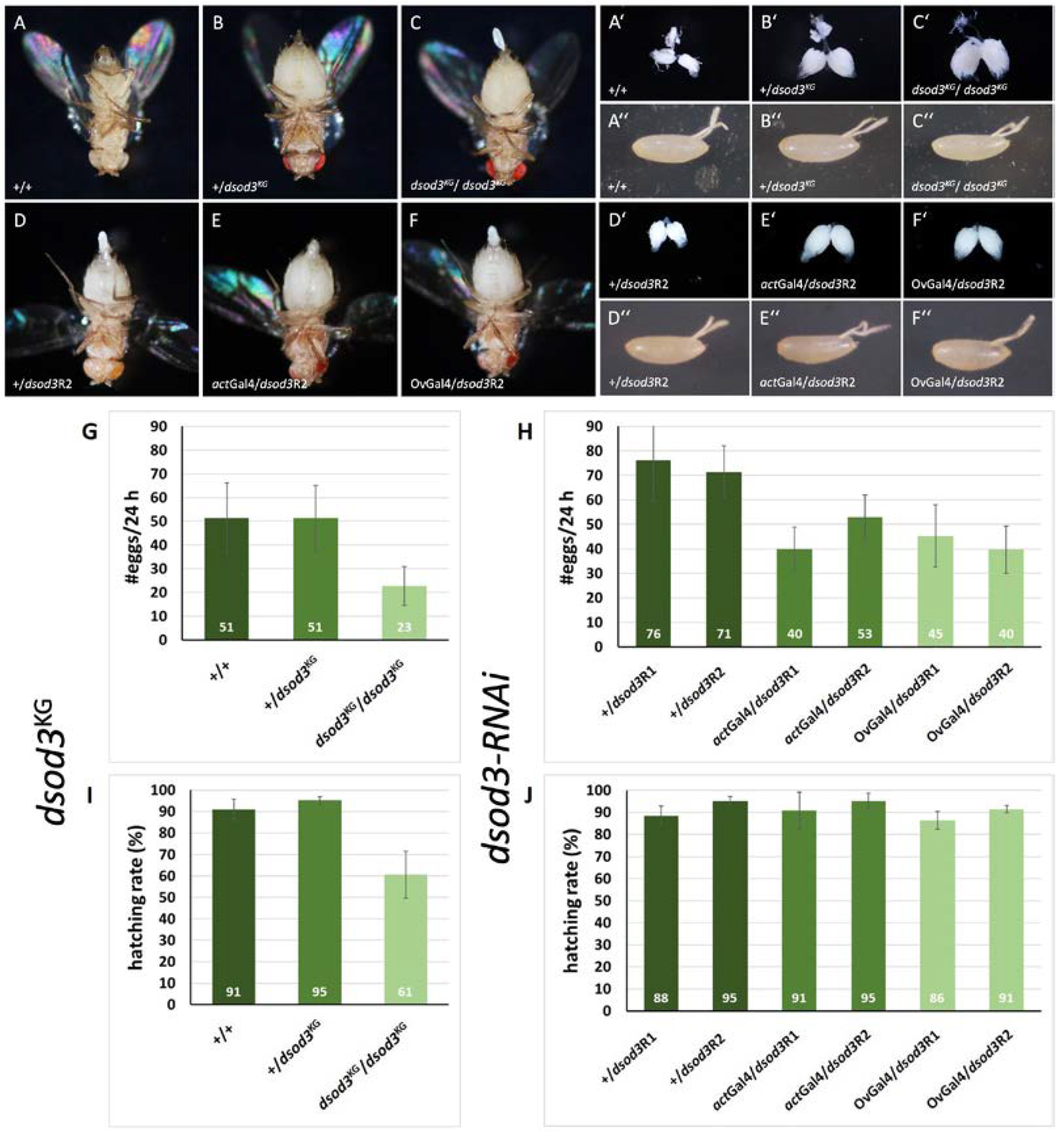 Preprints 104652 g004