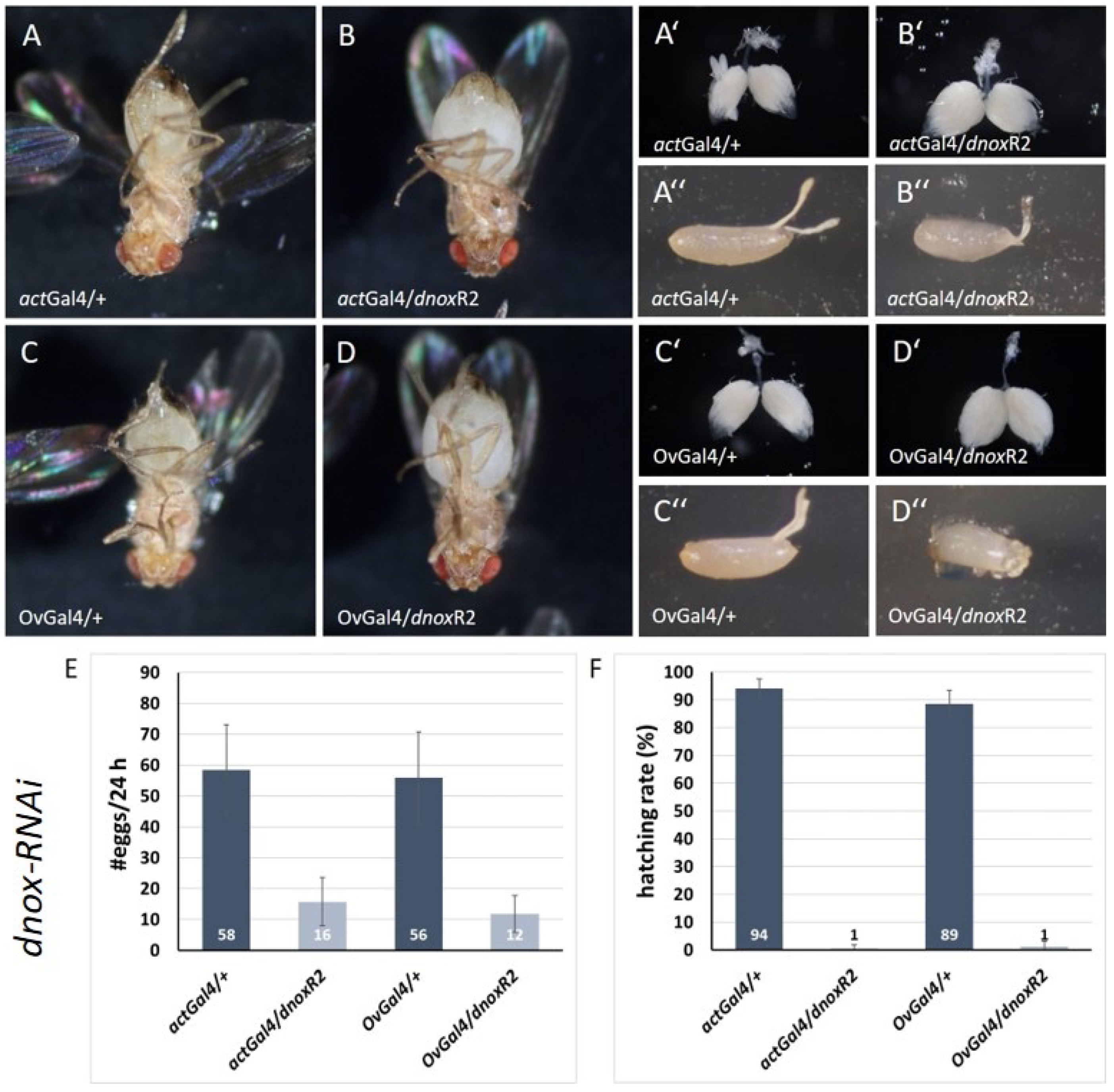 Preprints 104652 g005