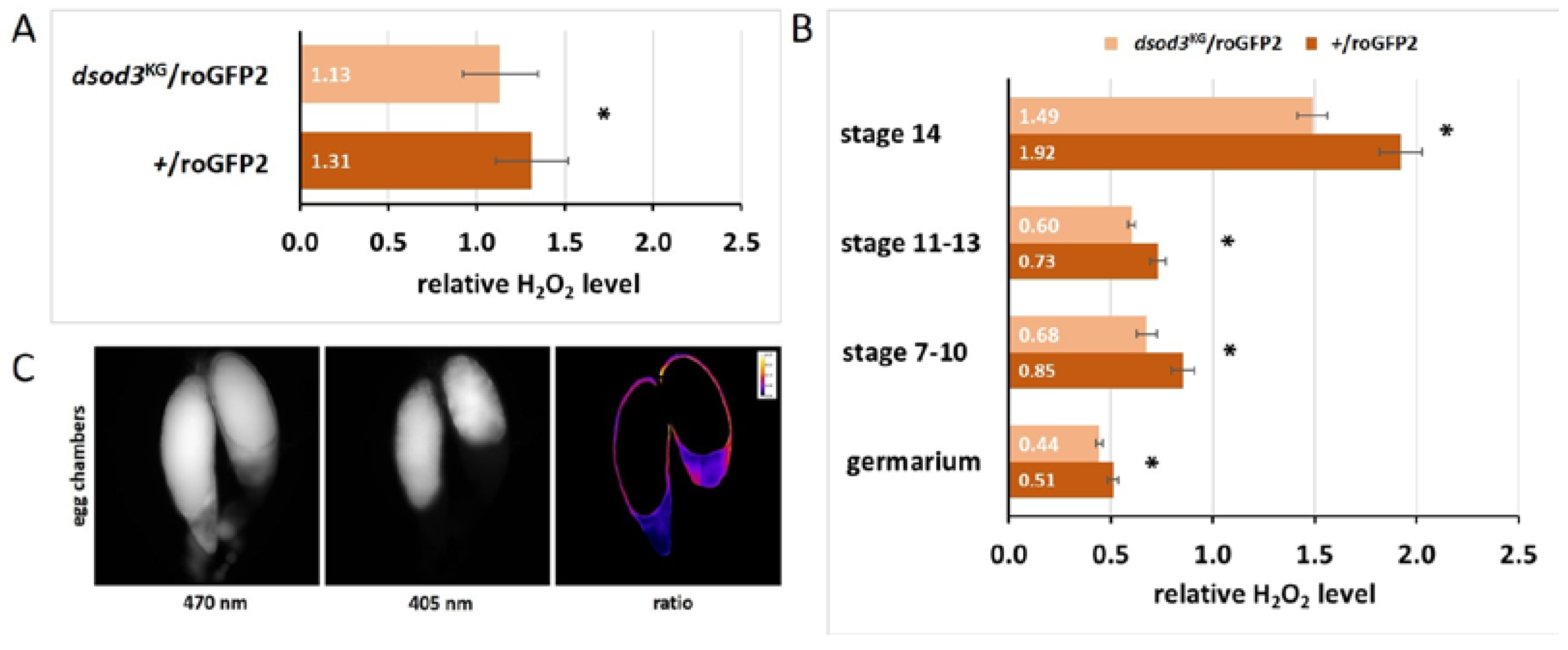 Preprints 104652 g008