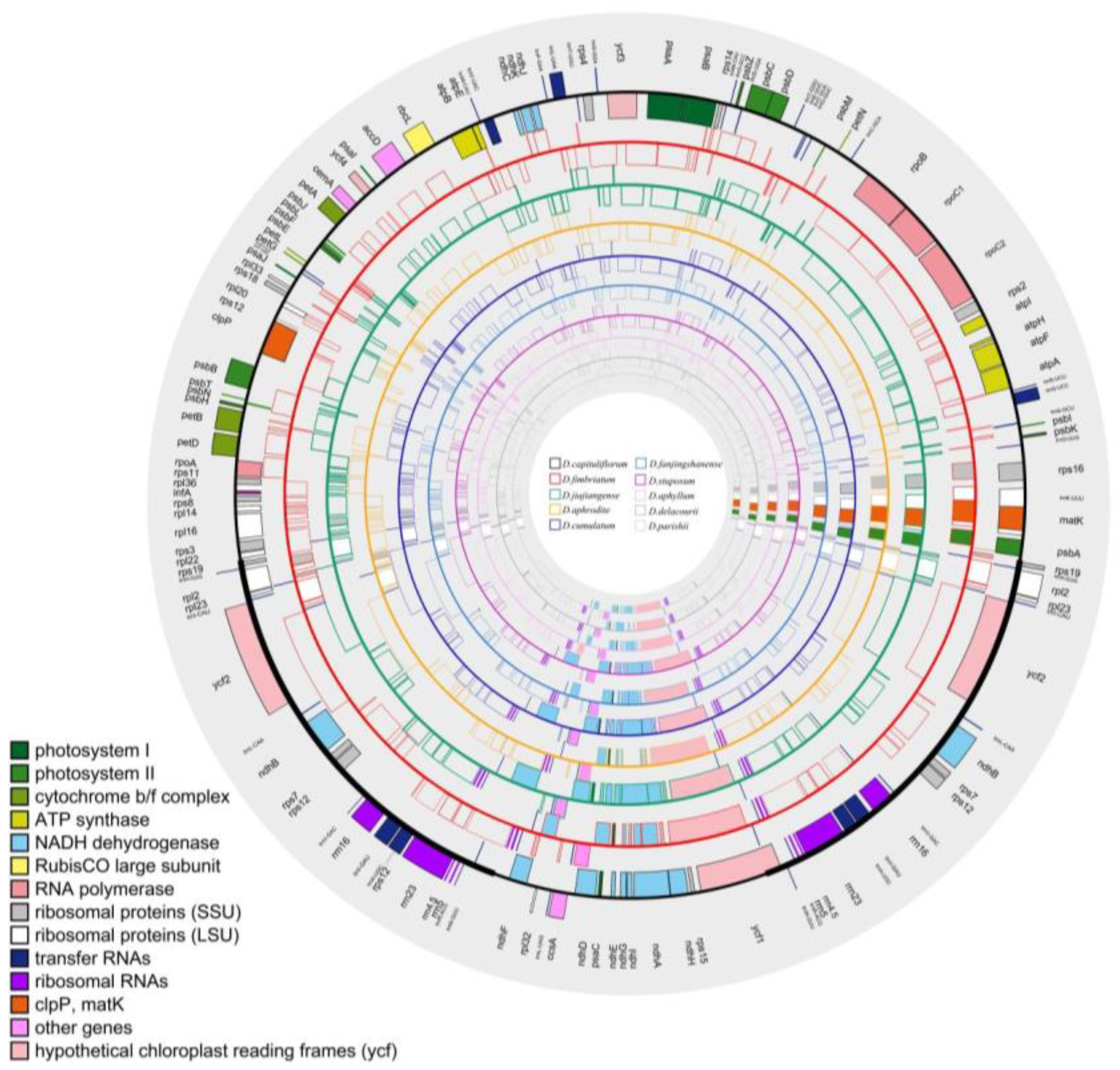 Preprints 94679 g002