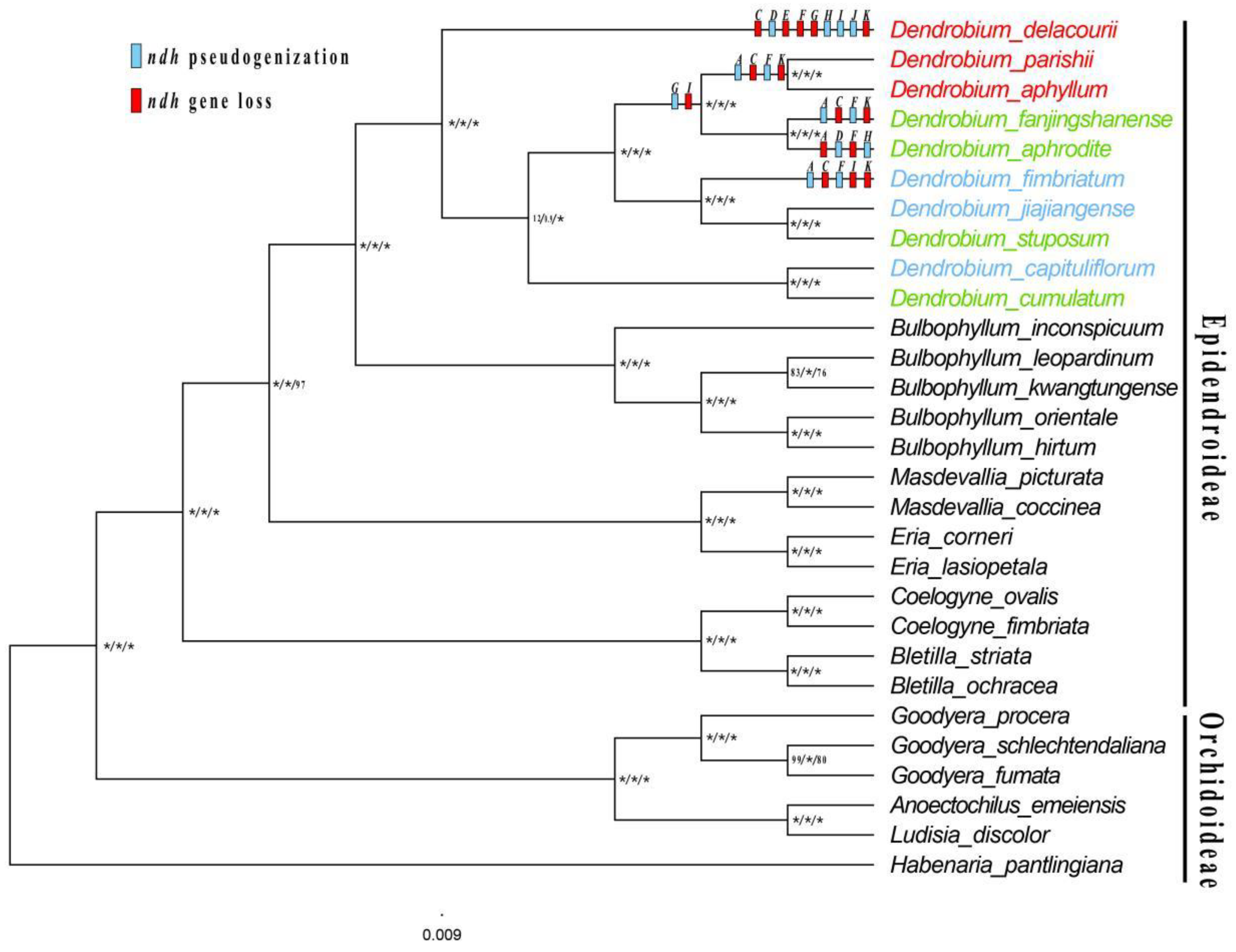 Preprints 94679 g008