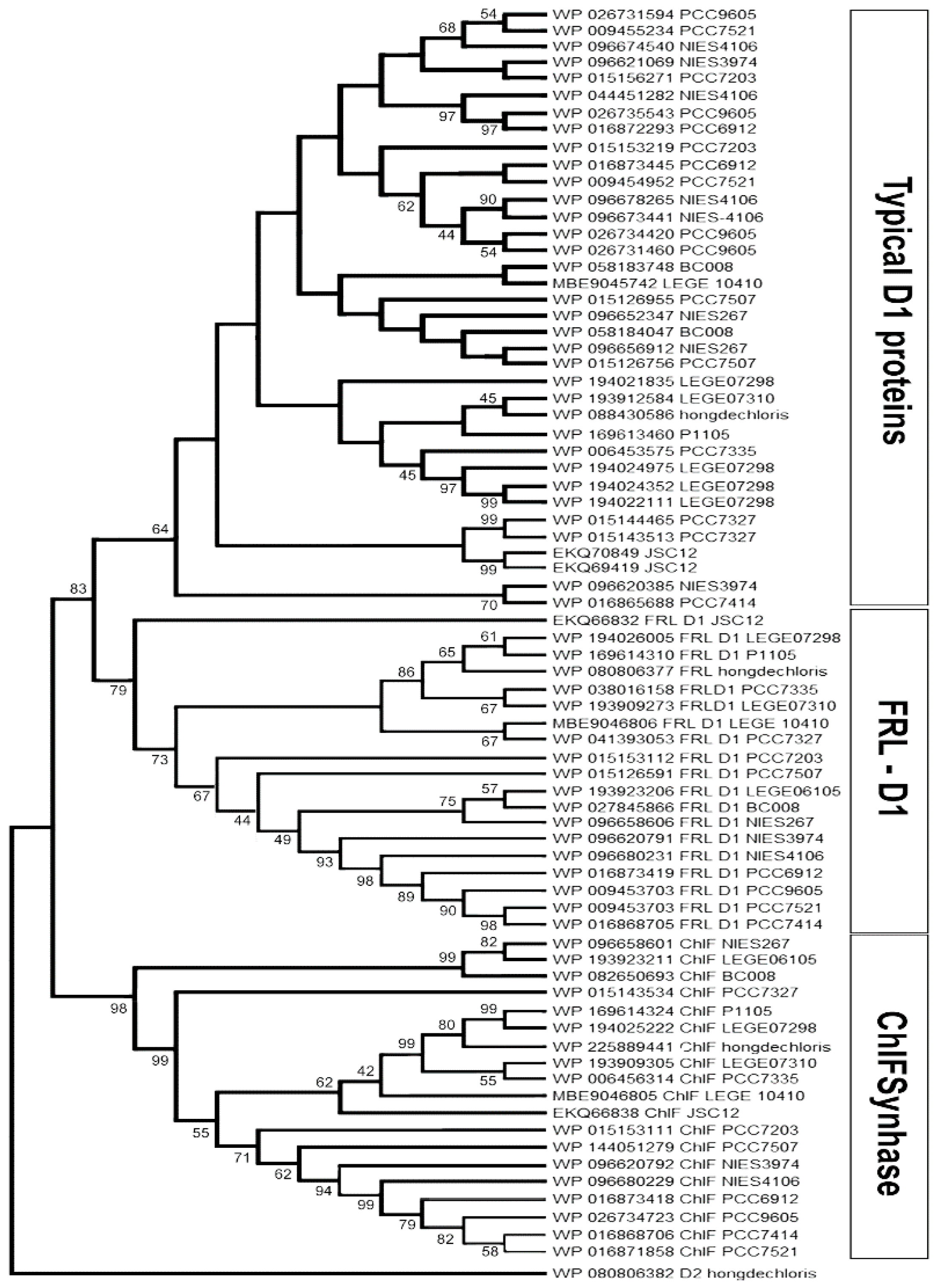 Preprints 83598 g001