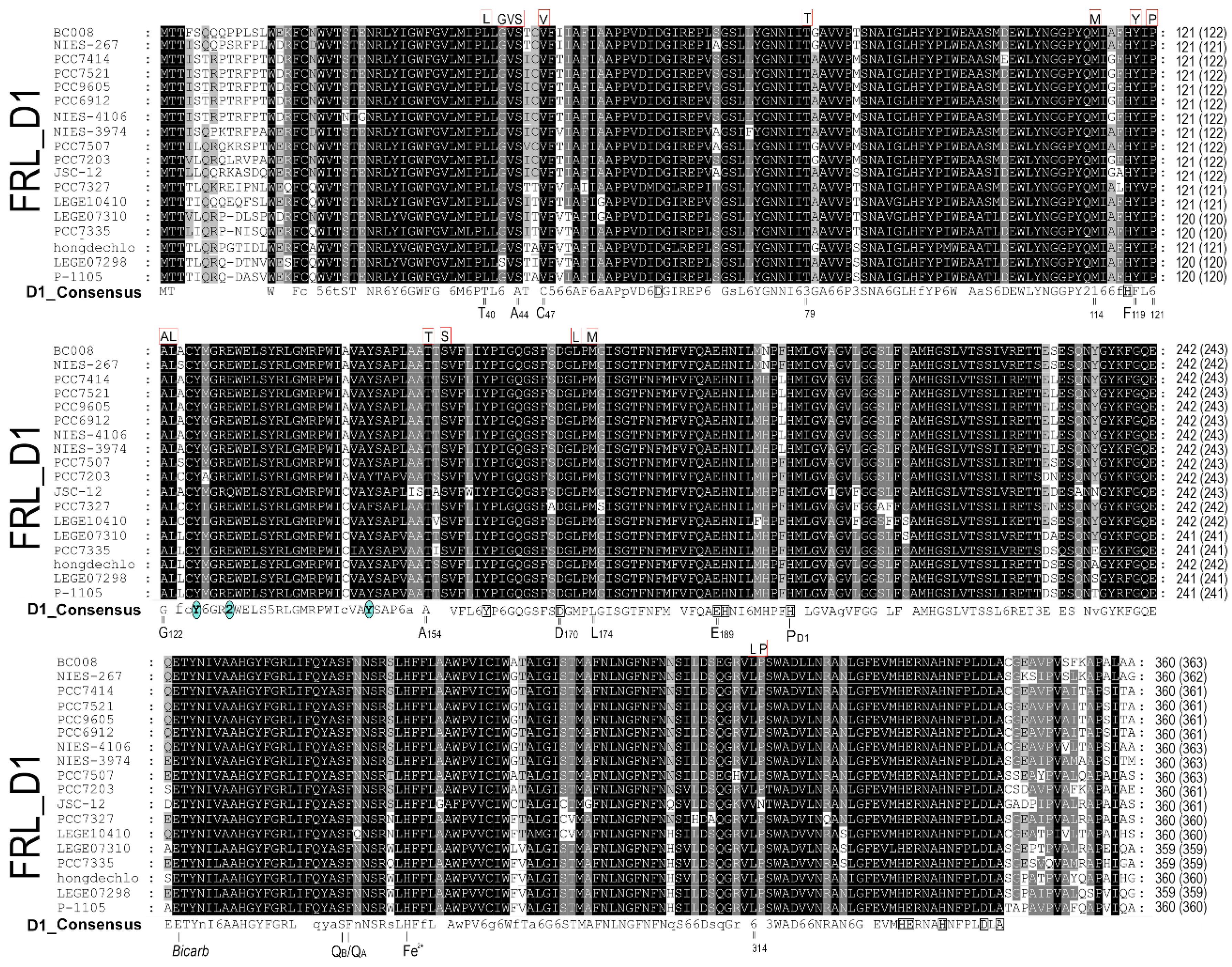 Preprints 83598 g002