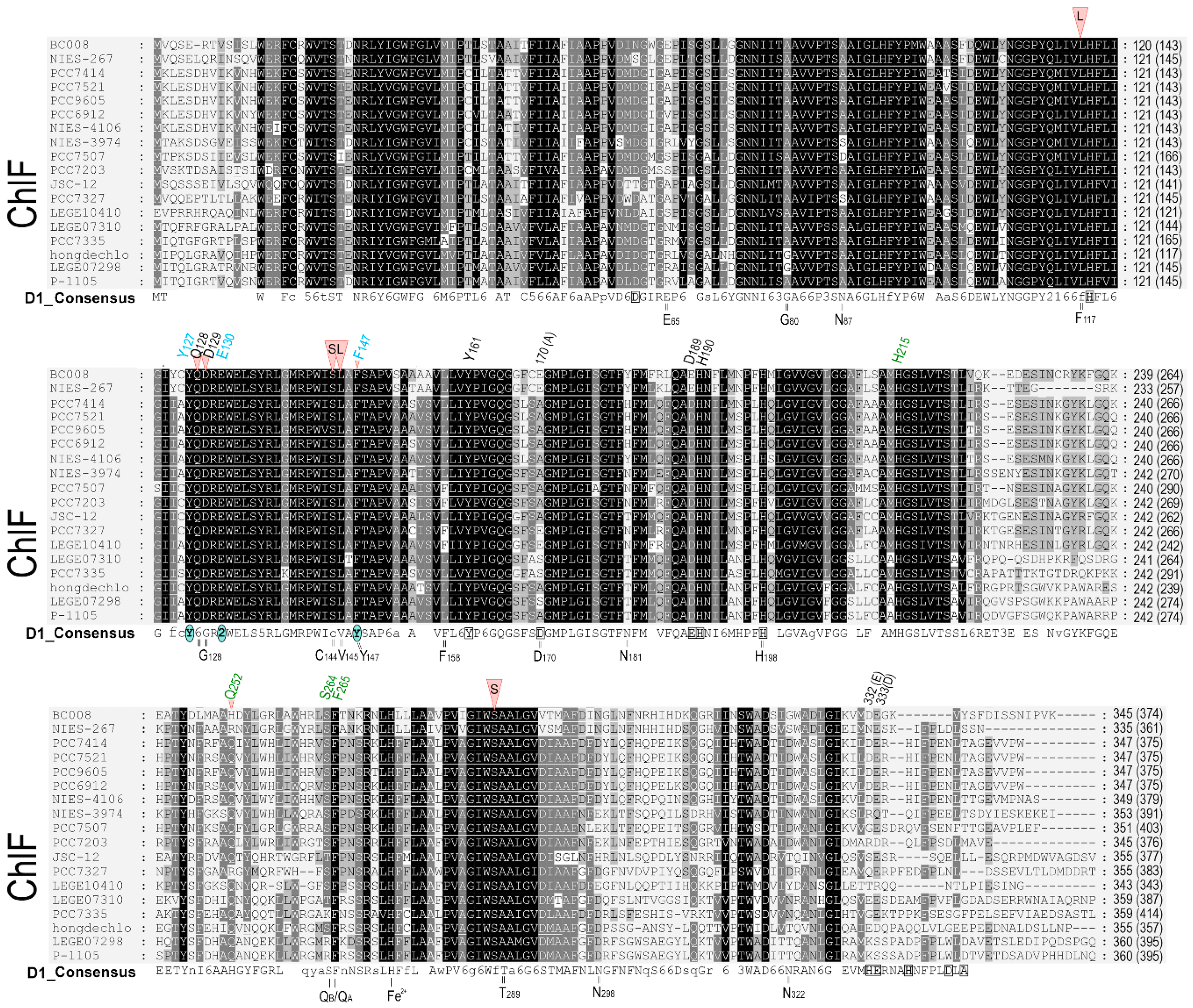 Preprints 83598 g003