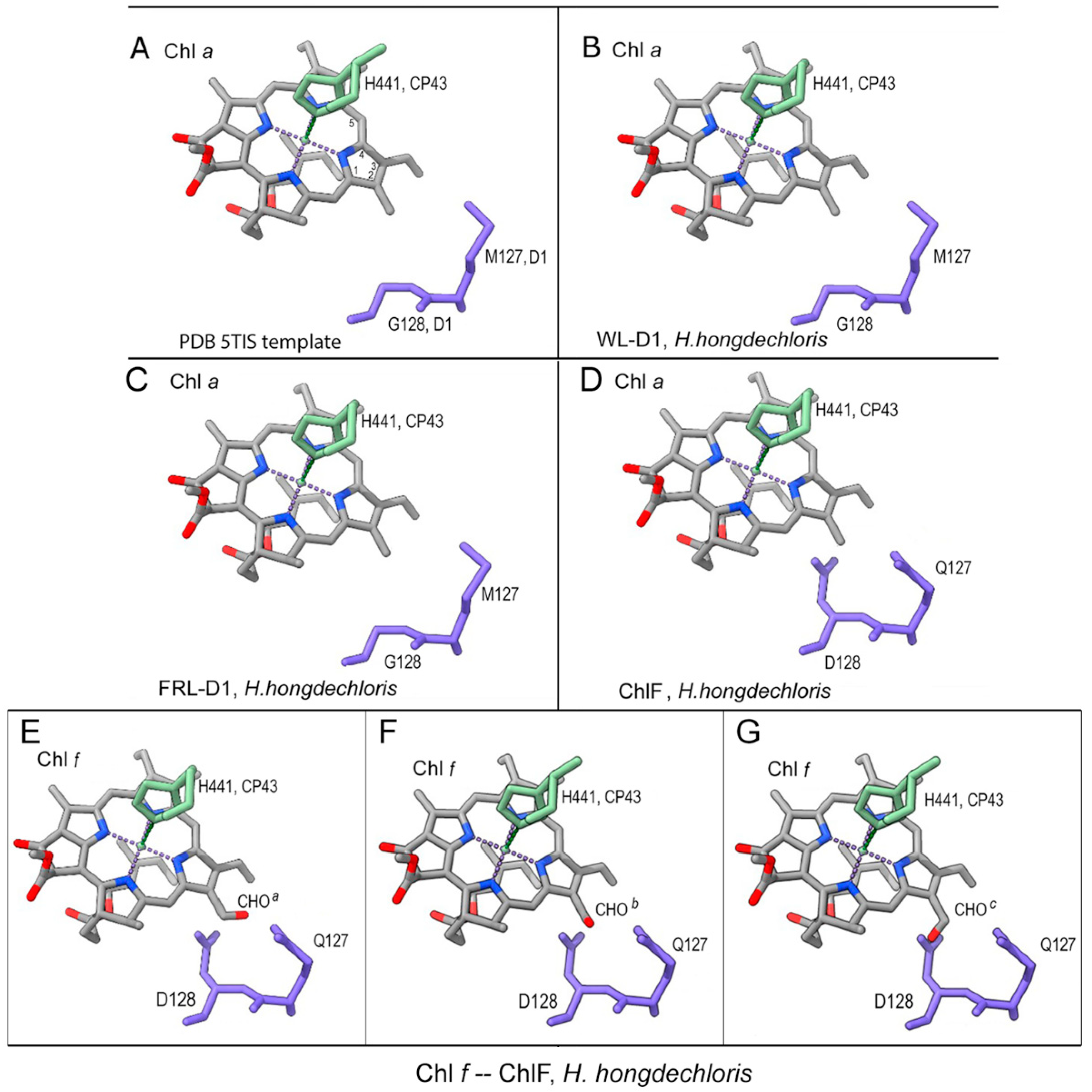 Preprints 83598 g006