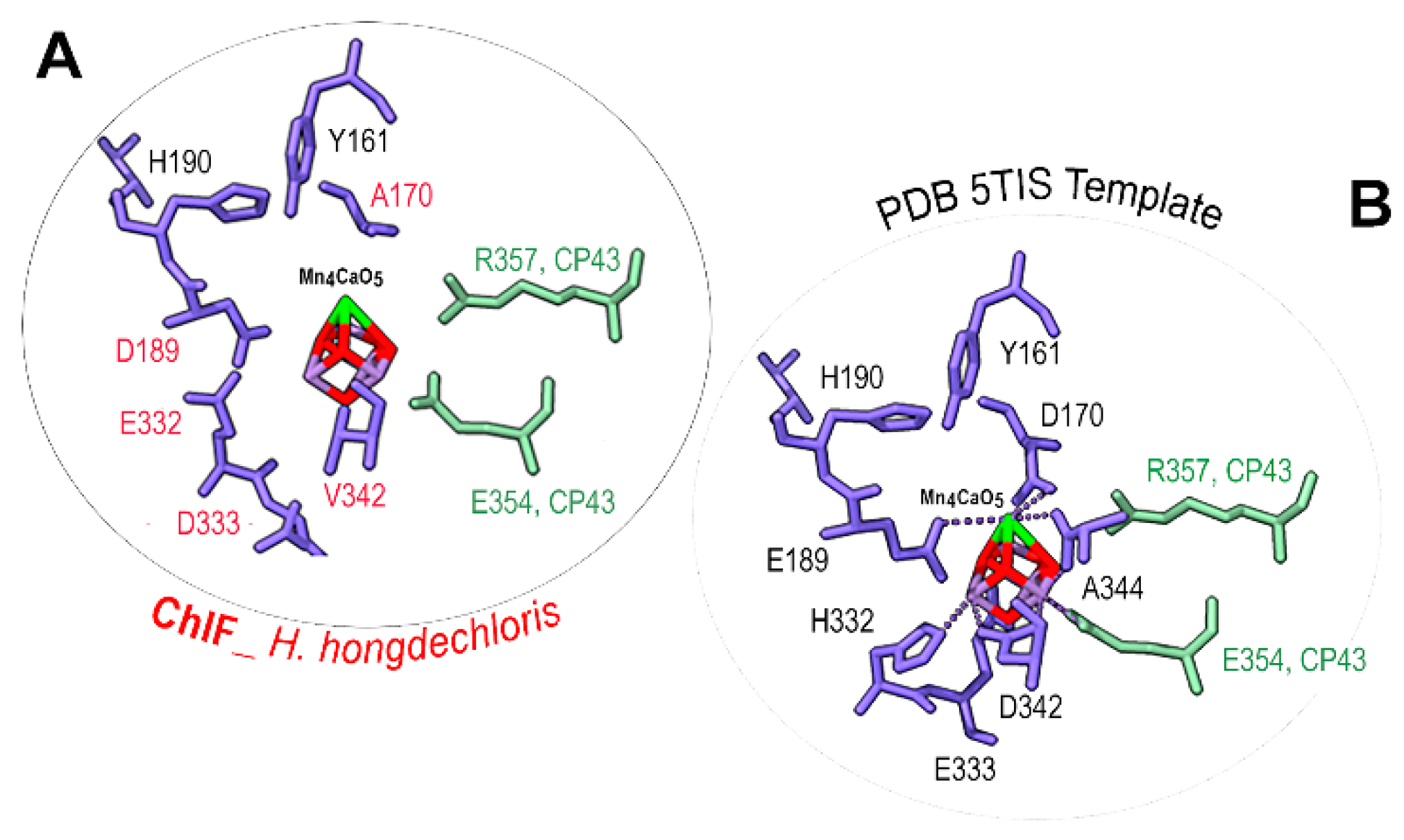 Preprints 83598 g008