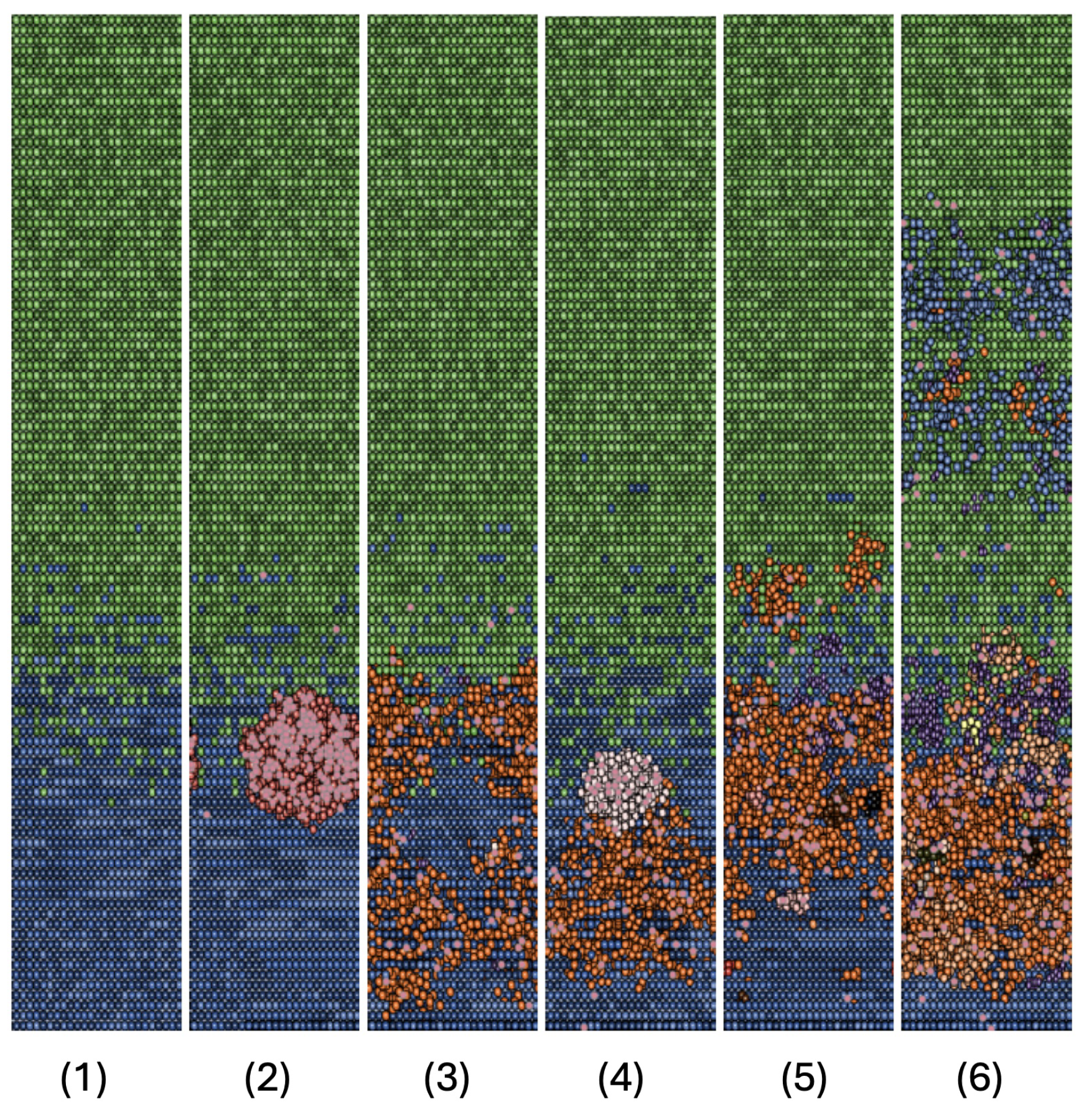 Preprints 119494 g008