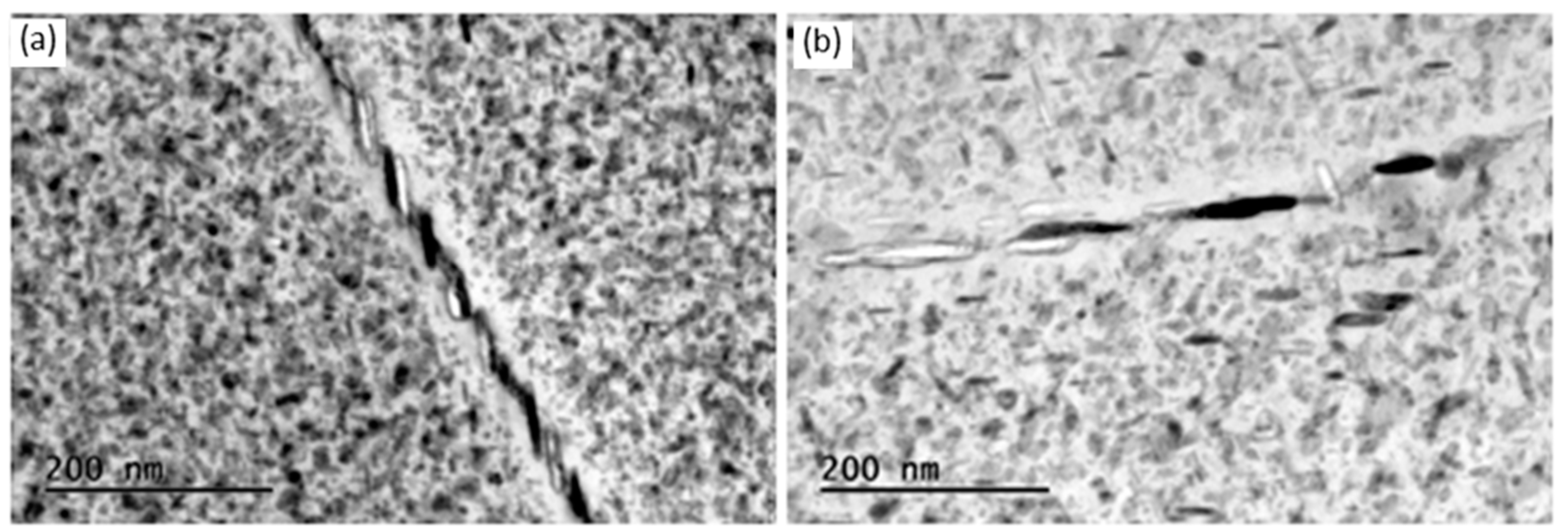 Preprints 74825 g009