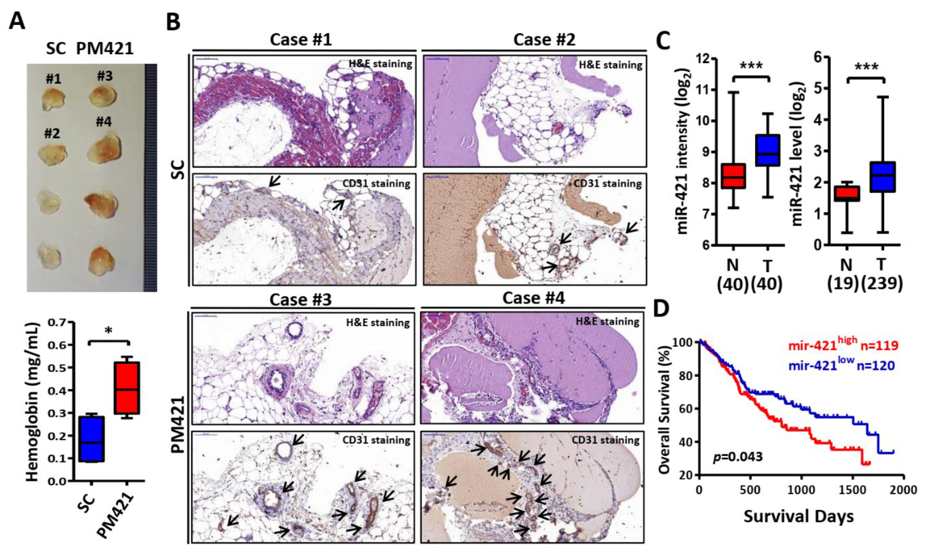 Preprints 106641 g002