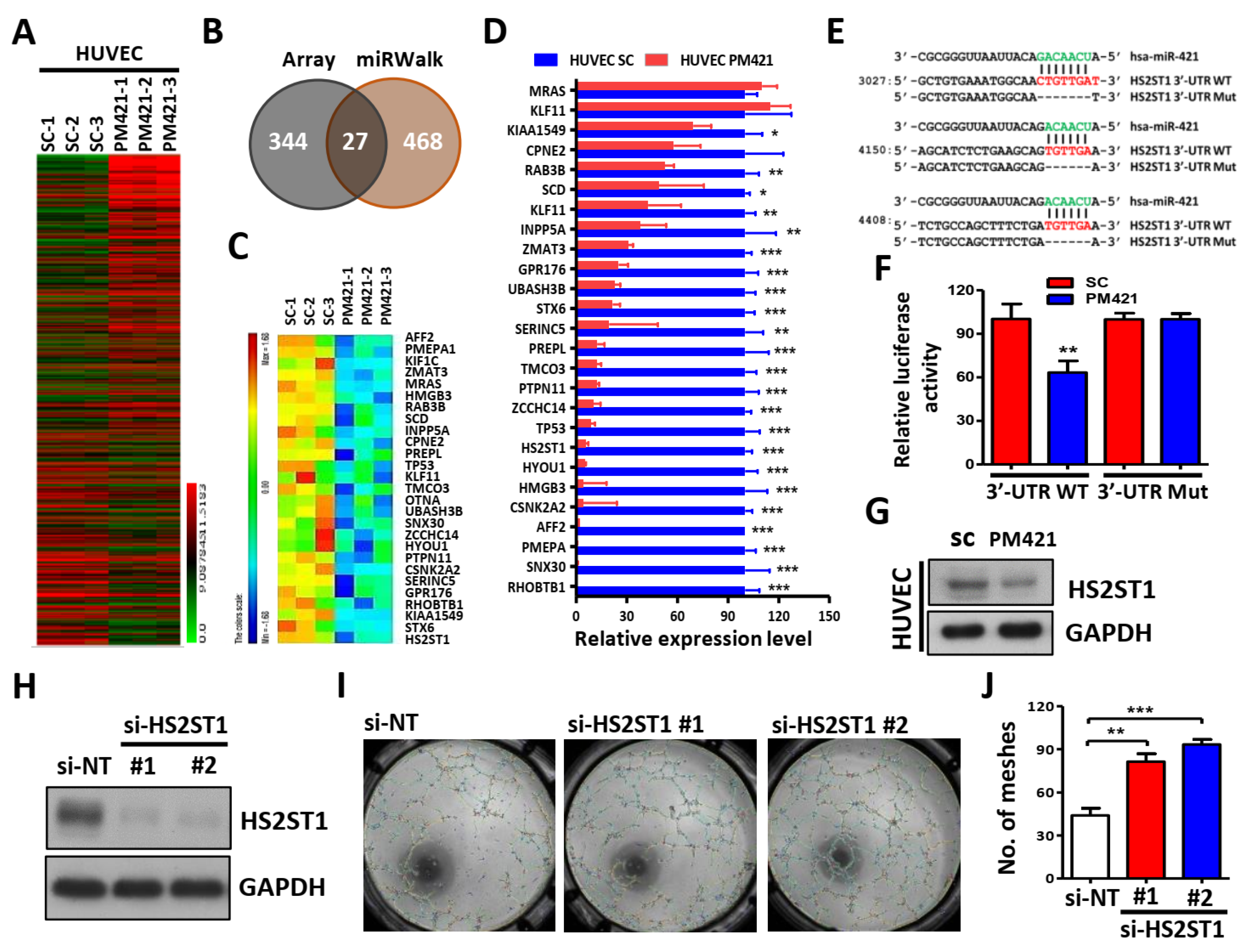 Preprints 106641 g003