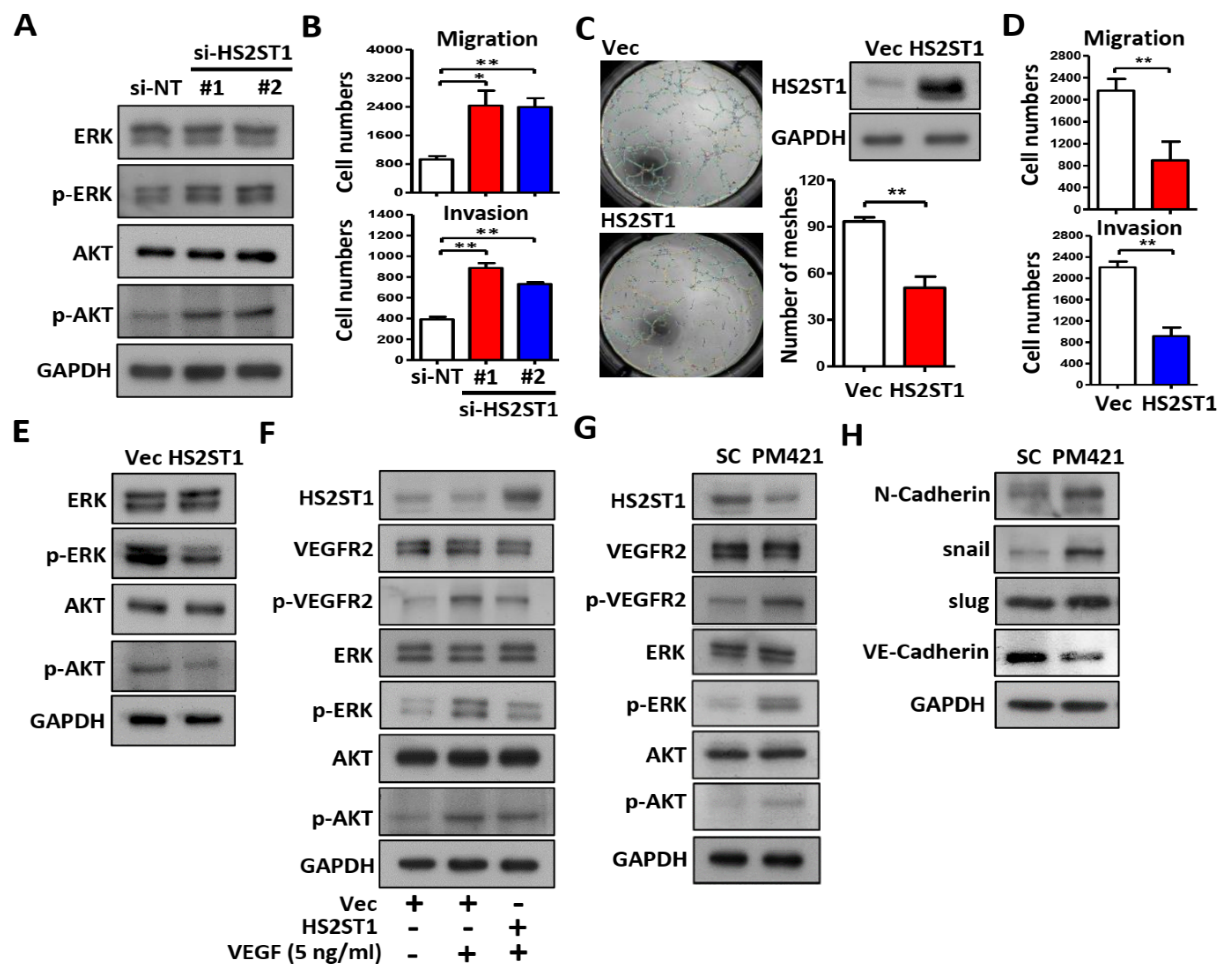 Preprints 106641 g004